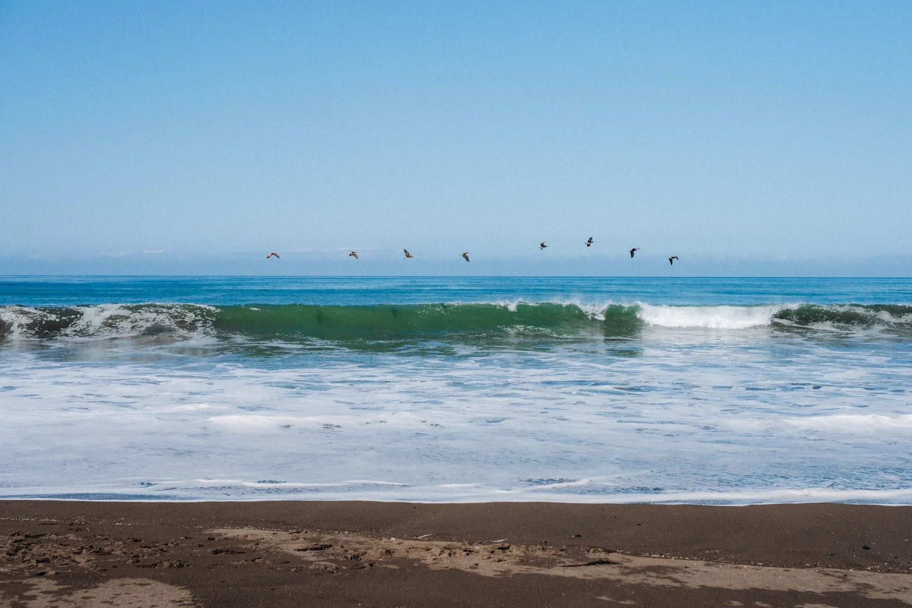 northern-ca-summer-2026-13.jpg
