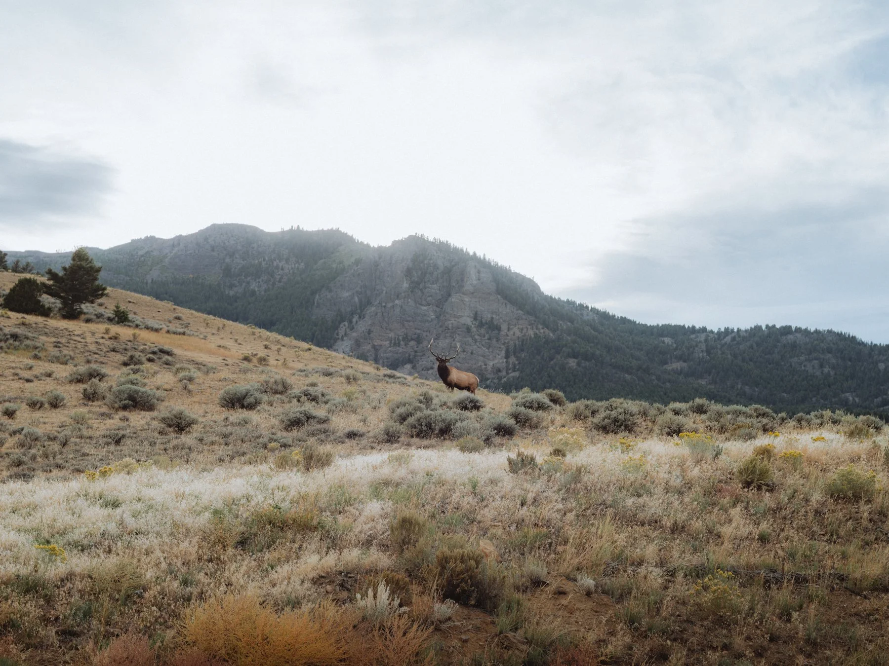 wyoming-summer-2026-157.jpg
