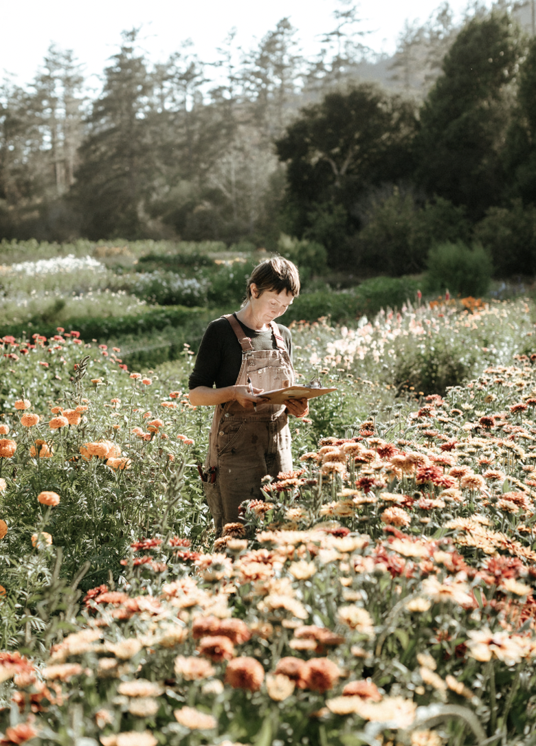 Santa Cruz Flower Hub