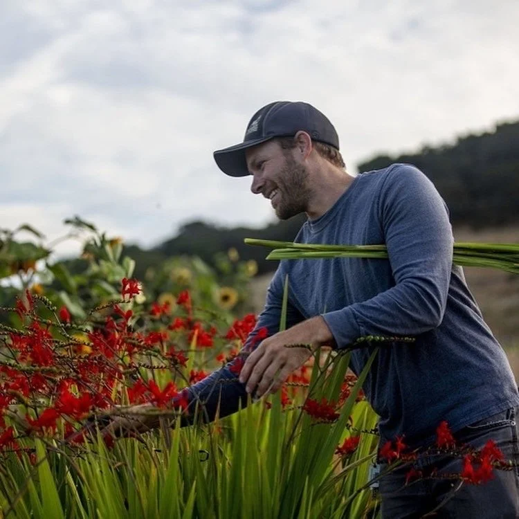 Sonoma County Flowers