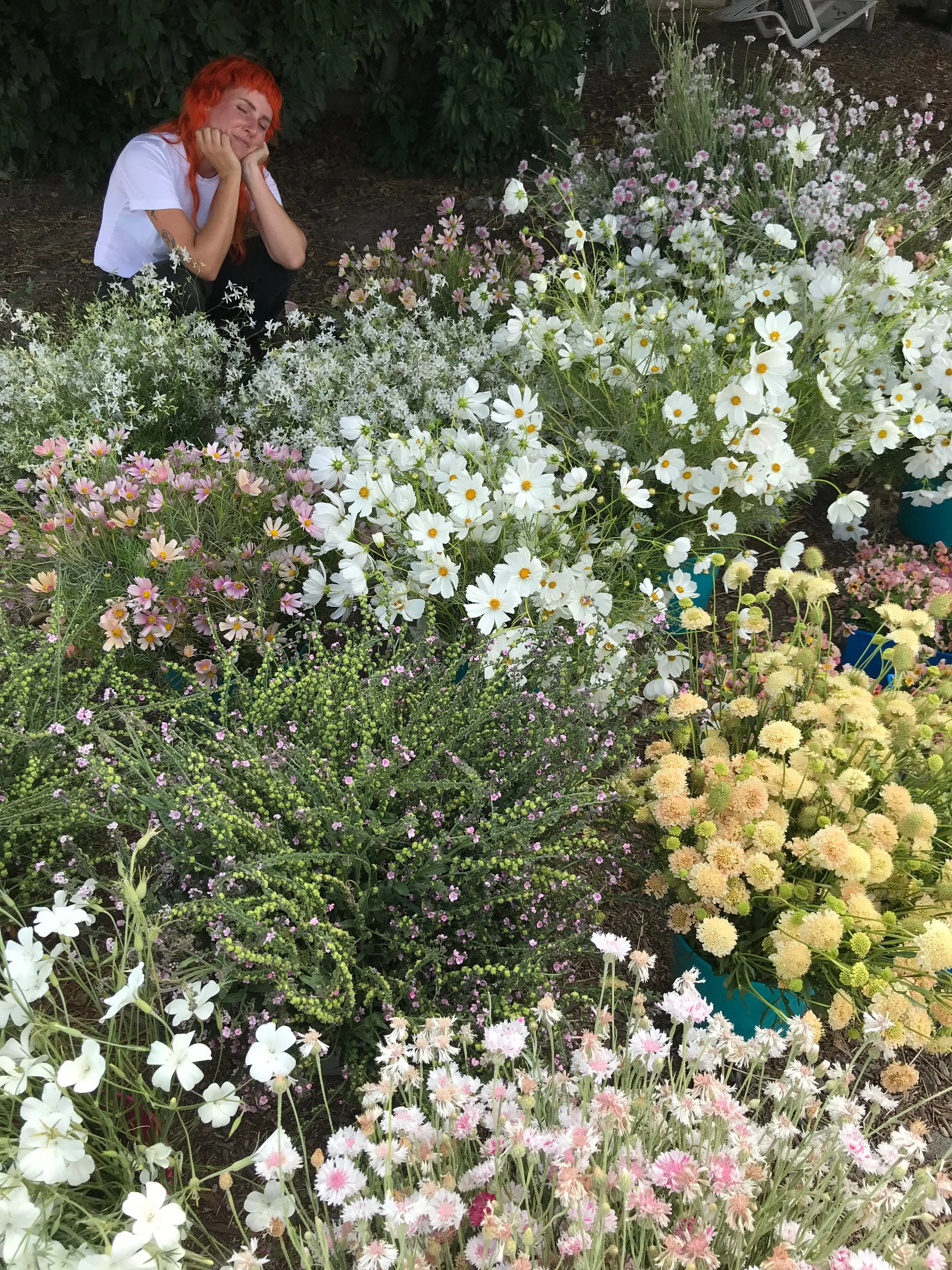 Los Angeles Flagship