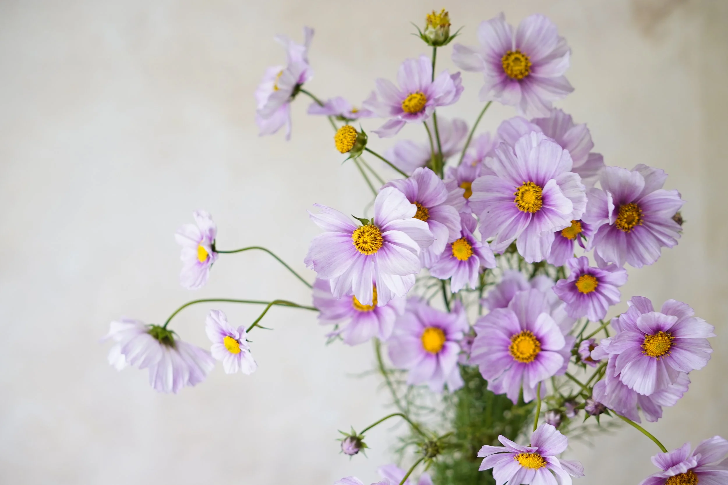 San Francisco Flagship