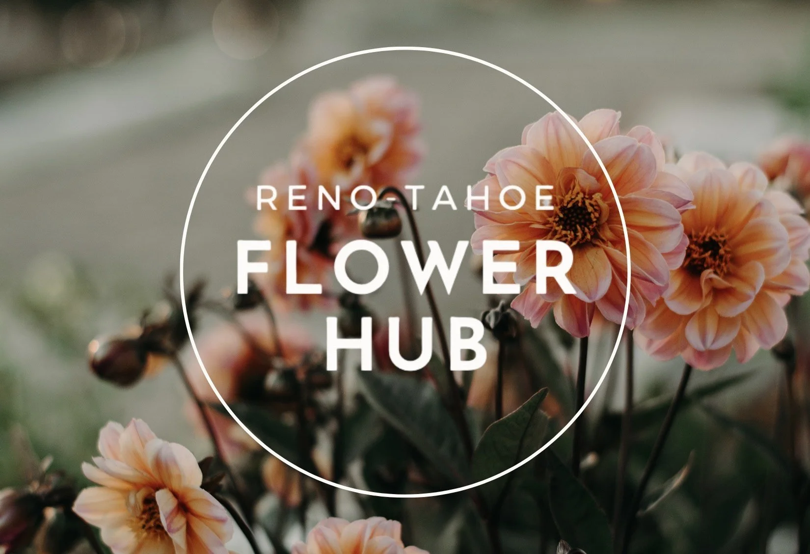 Reno-Tahoe Flower Hub