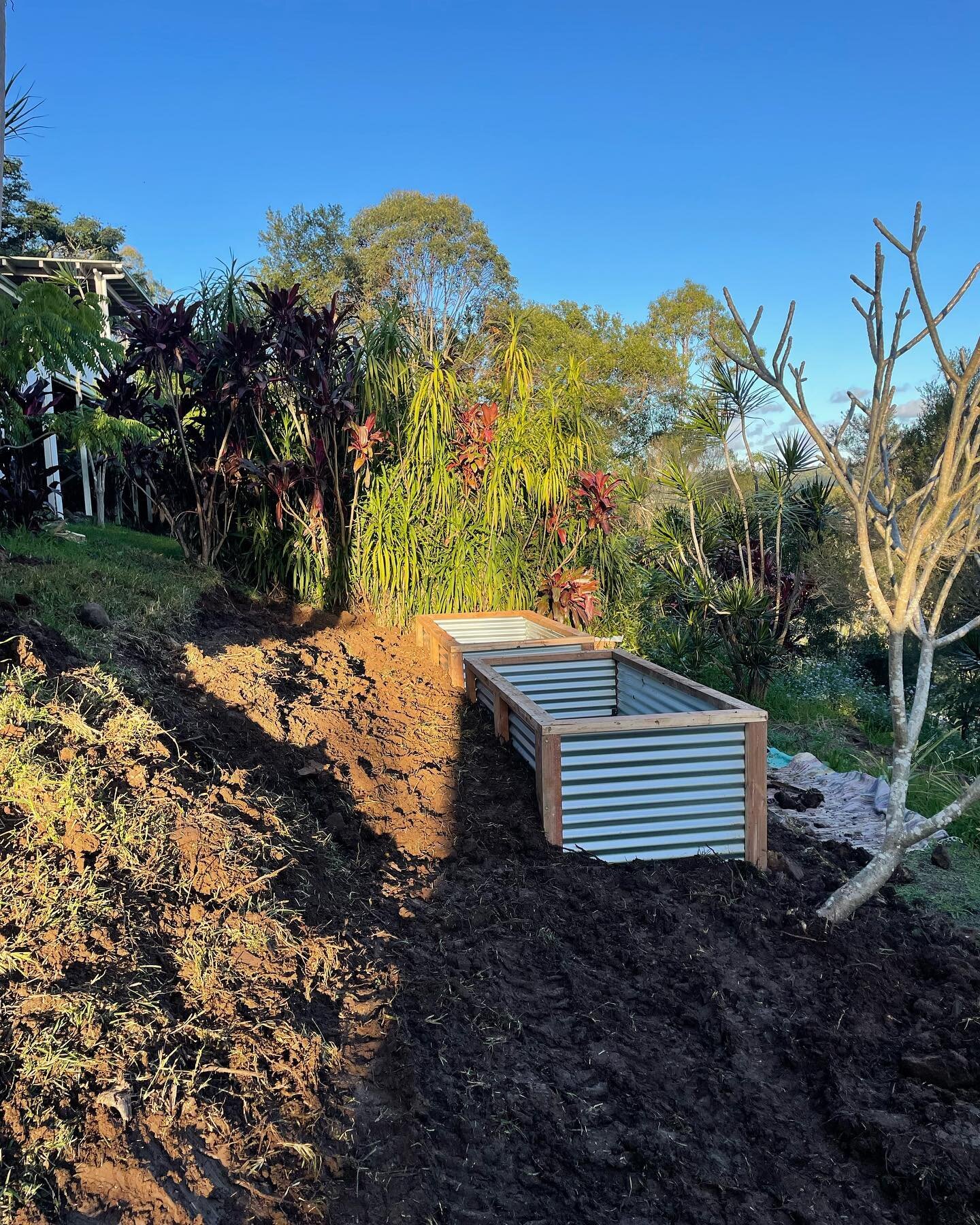 Building some veggie boxes in Eltham over the weekend, will update when part two is complete 👨🏽&zwj;🌾🐝🥦🥬🌼🌶⛈🔨🐮