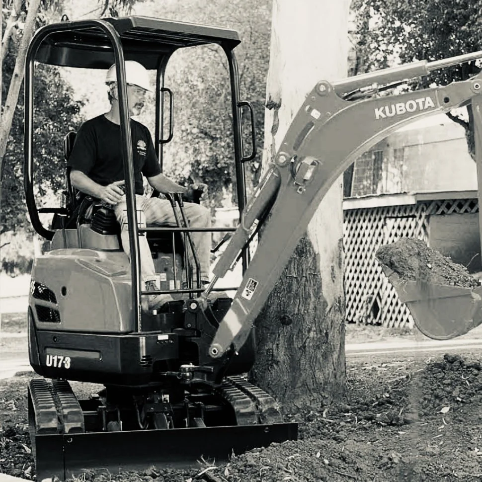 A man operating a Kubota mini excavator while digging around a tree in an outdoor setting.