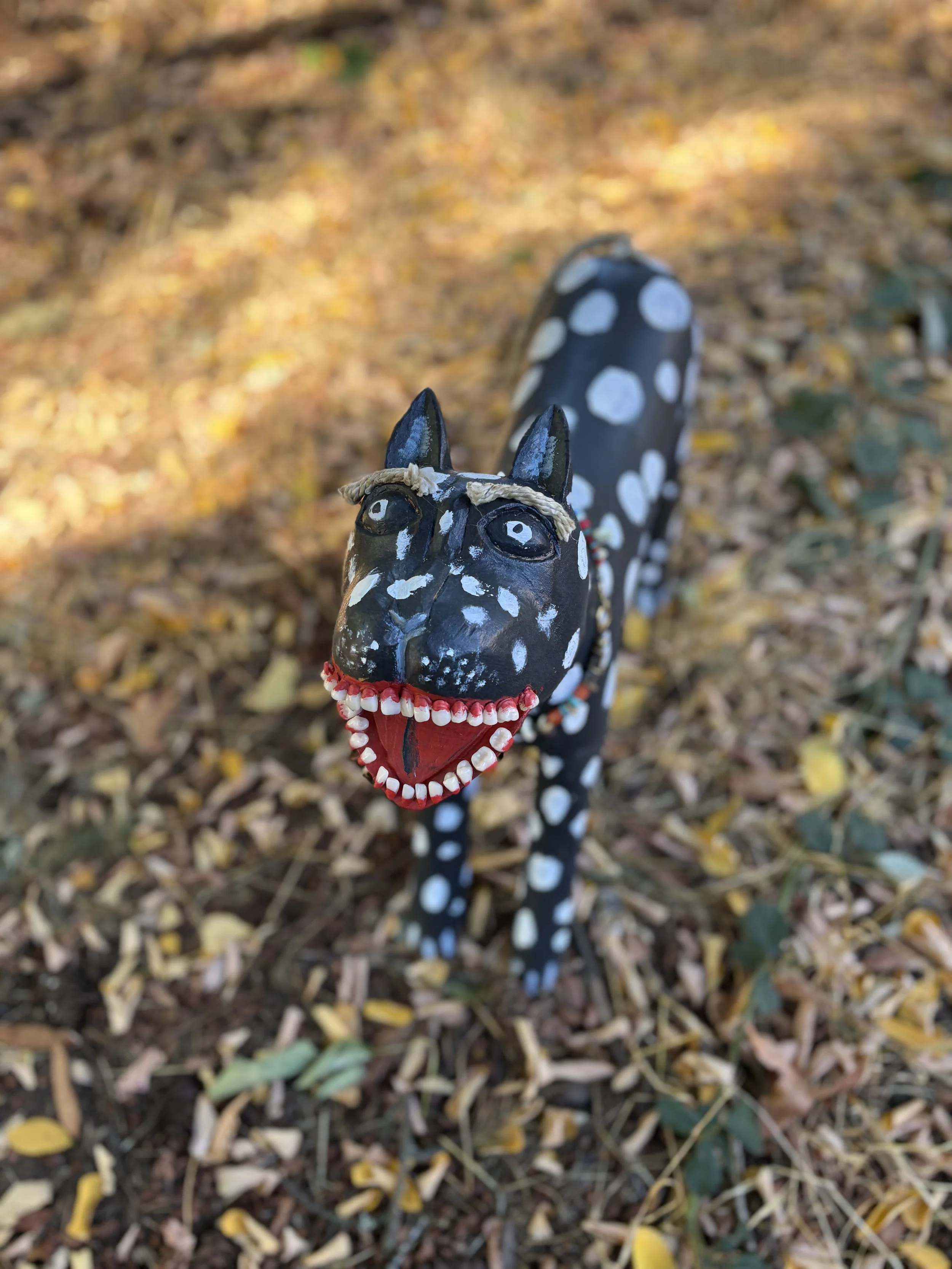 IMG_2414.jpeg