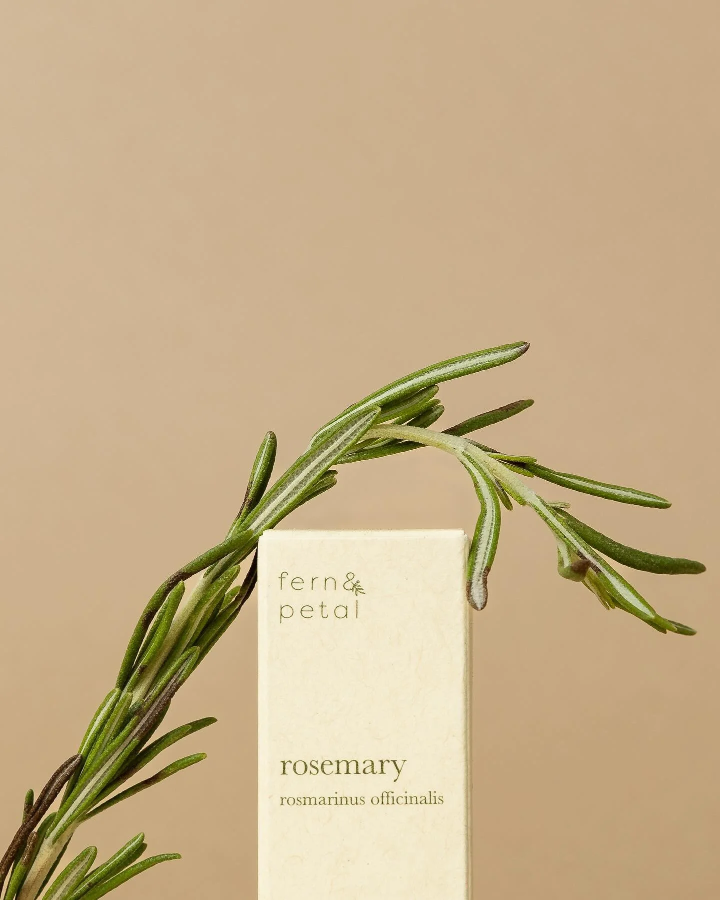 Perfectly balanced 🌿

Client @fernandpetal.ca

.
.
.
#smallbusiness #creativeproductphotography #shoplocal #smallbusinessowner #entrepreneur #supportlocal #businessowner #startup #design #entrepreneurship #beauty #womeninbusiness #smallbusinessau #s