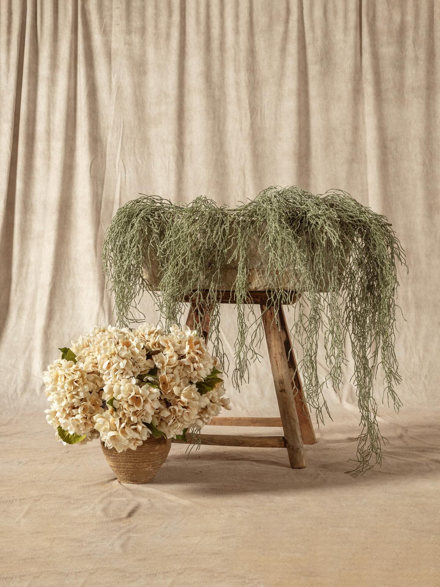 My definition of &ldquo;natural beauty&rdquo;

Client: @vessellehome 

&bull;
&bull;
&bull;

Shot with @canoncanada @tamronamericas @godox_global
Editing: @photoshop @wacom @lightroom

#productphotography #brandphotographer #vancouverproductphotograp