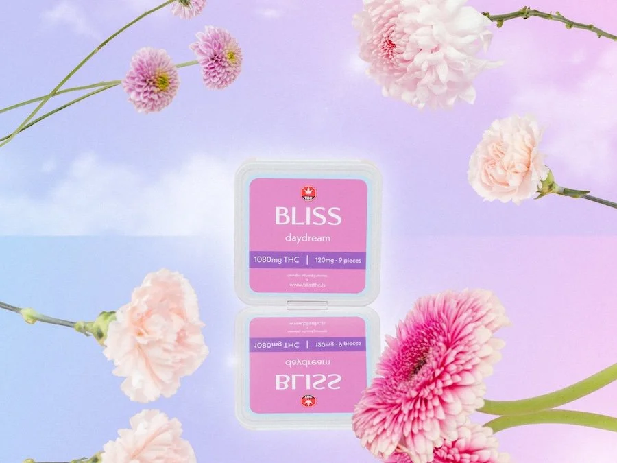 Bliss-11.jpg