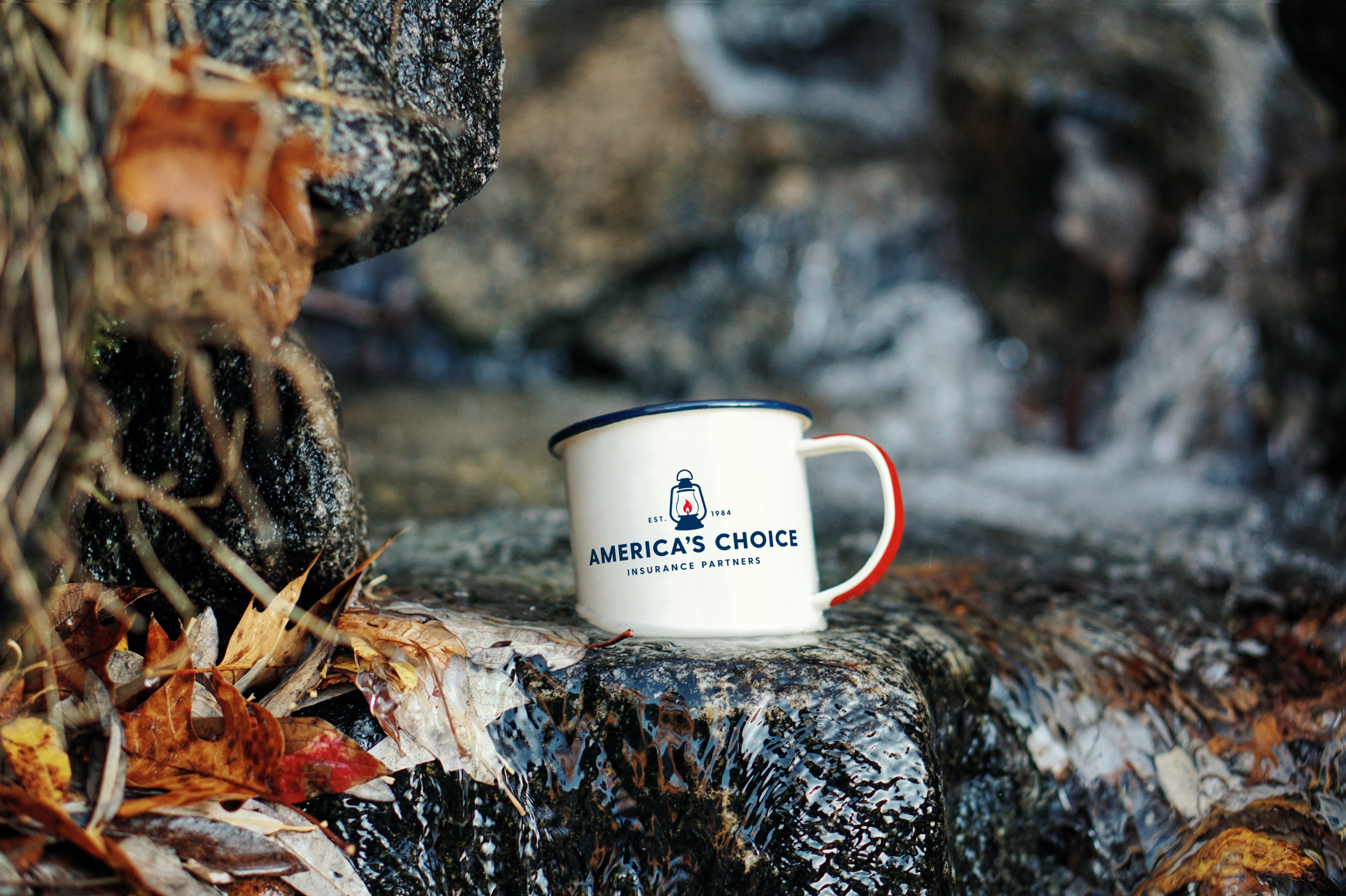 Enamel mug on the rock inside of a river_ACIP_logo_final (1).png