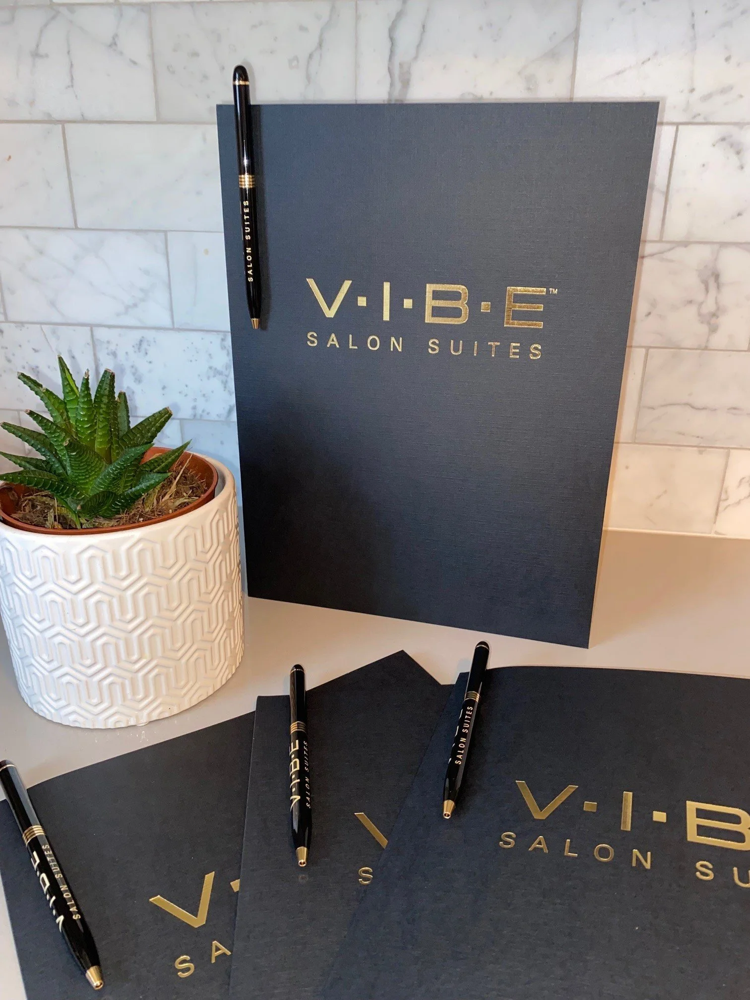 Vibe Leasing Packet and Pens.jpg