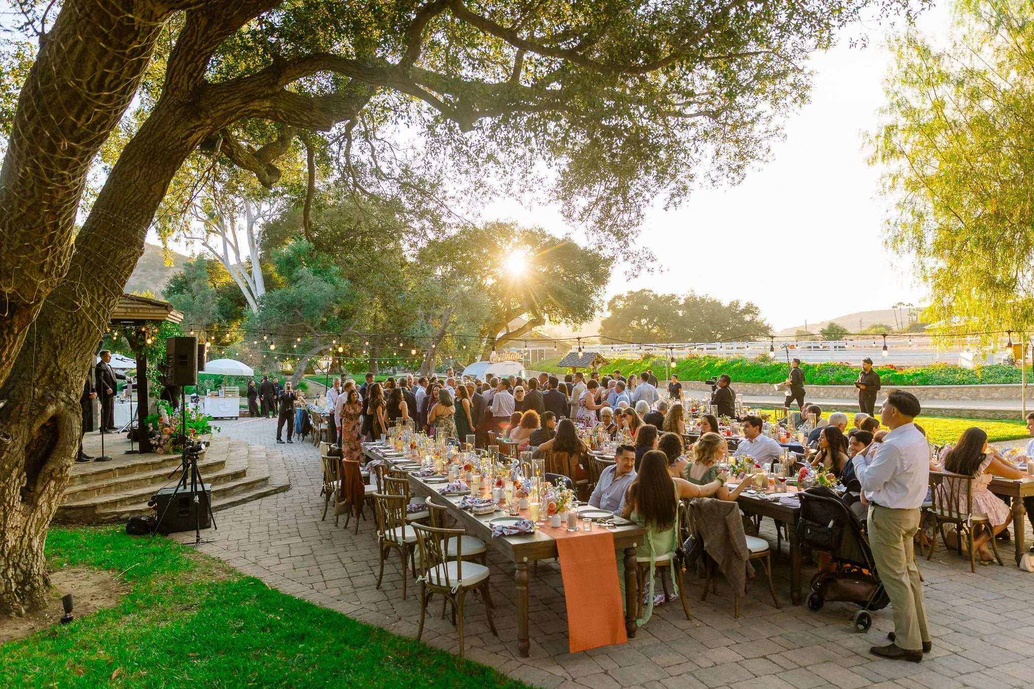 GiracciVineyards_C_A-1532.jpg