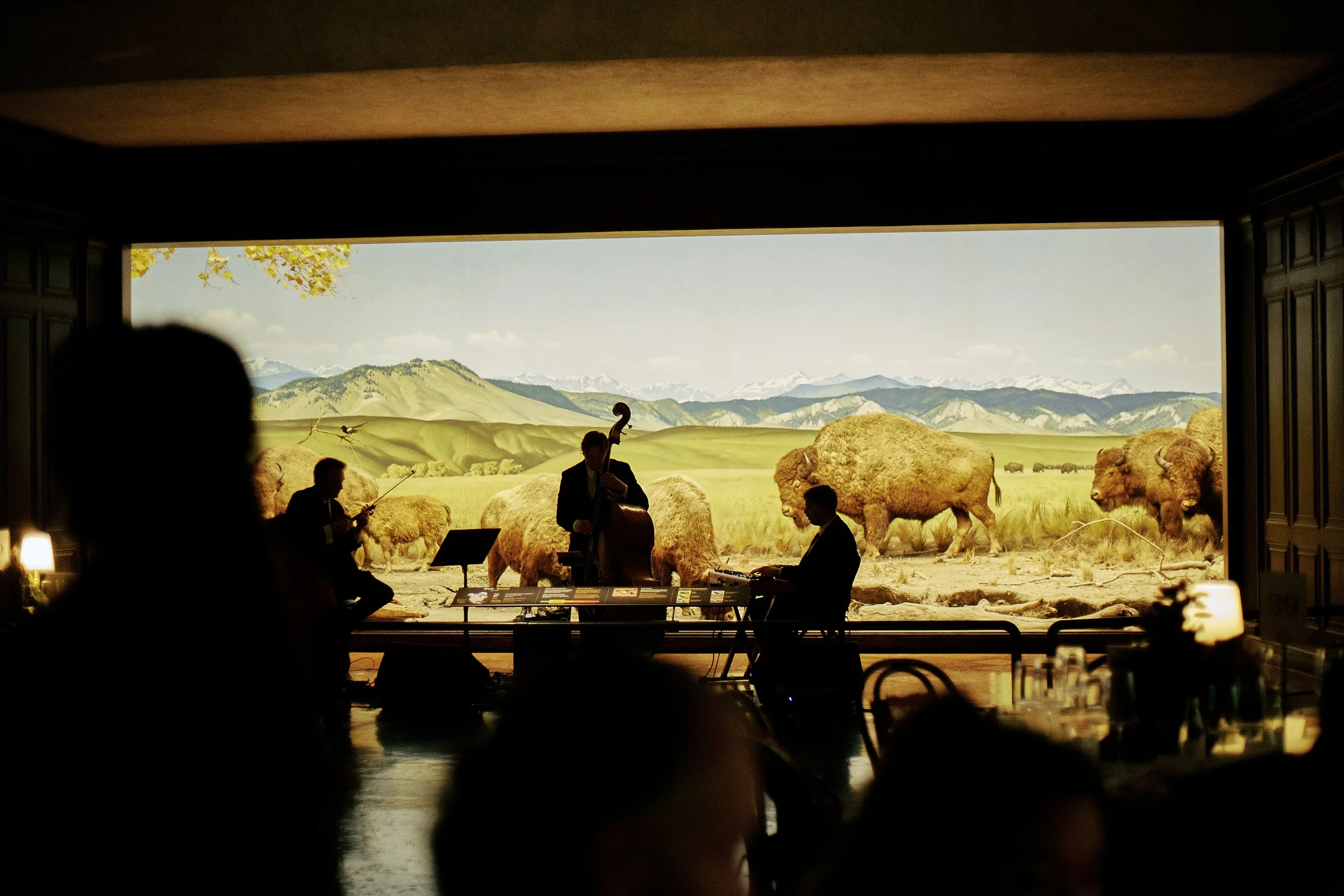 Catered event, National History Museum, Los Angeles; jazz band performs in front of a large screen depicting a pastoral landscape with bison and mountains.