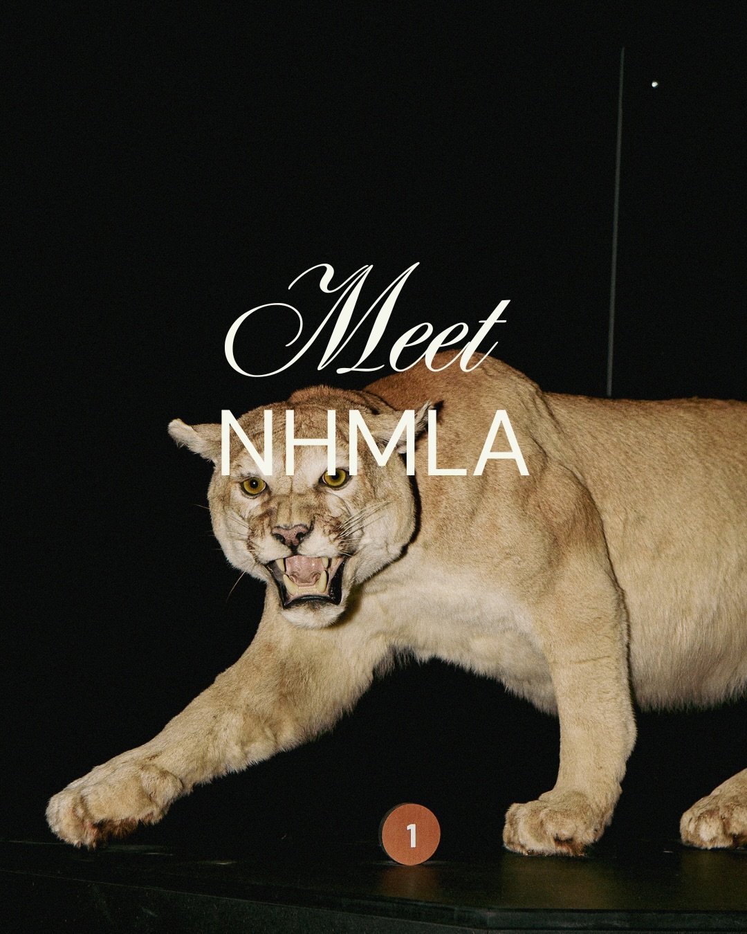 The Natural History Museum of Los Angeles County isn&rsquo;t just a place to explore the past&mdash;it&rsquo;s a one-of-a-kind venue for extraordinary events. 

NHMLA is one of TGIS&rsquo;s exclusive venues, and it is one of our favorite venues for l