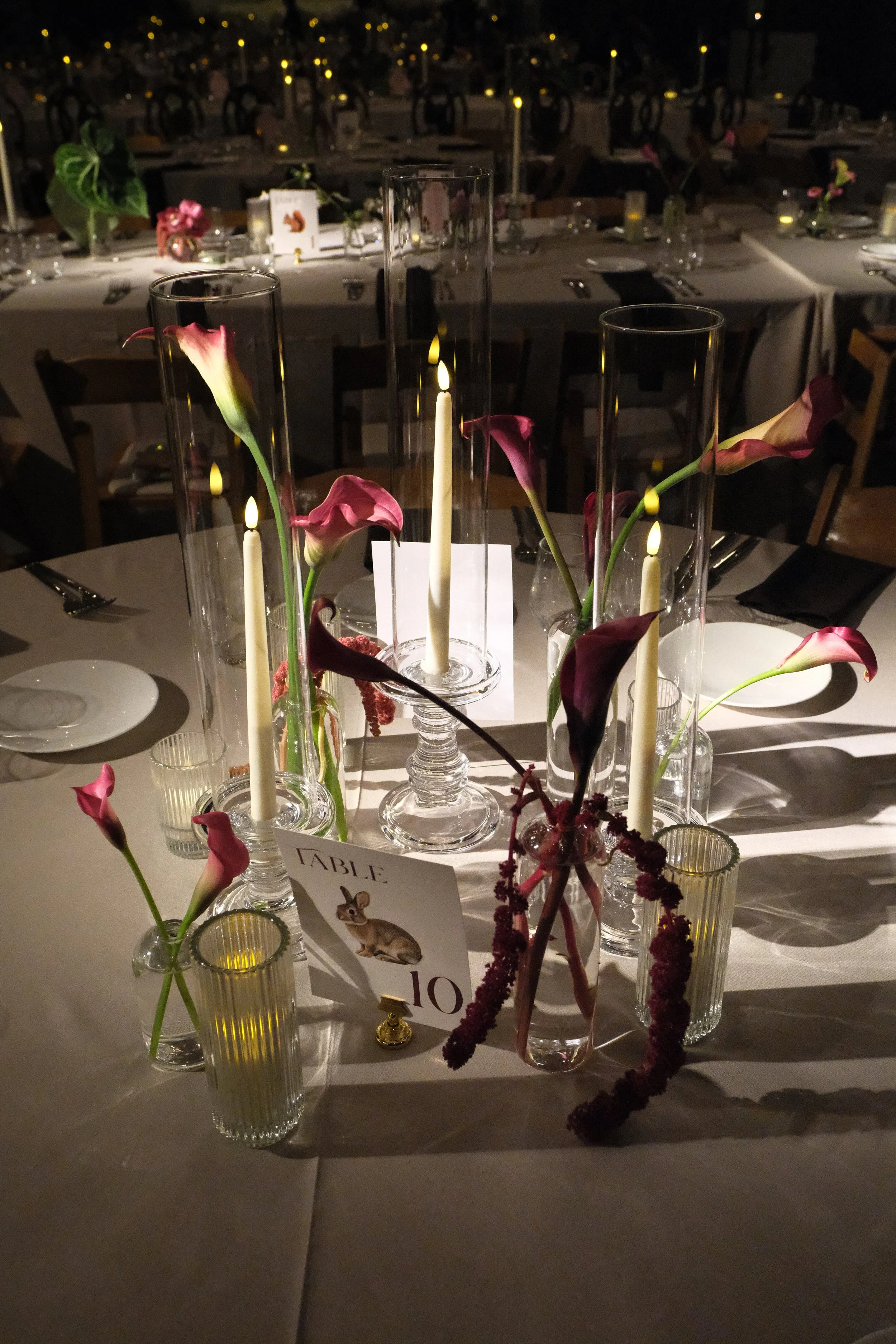 DSCF6157.jpg