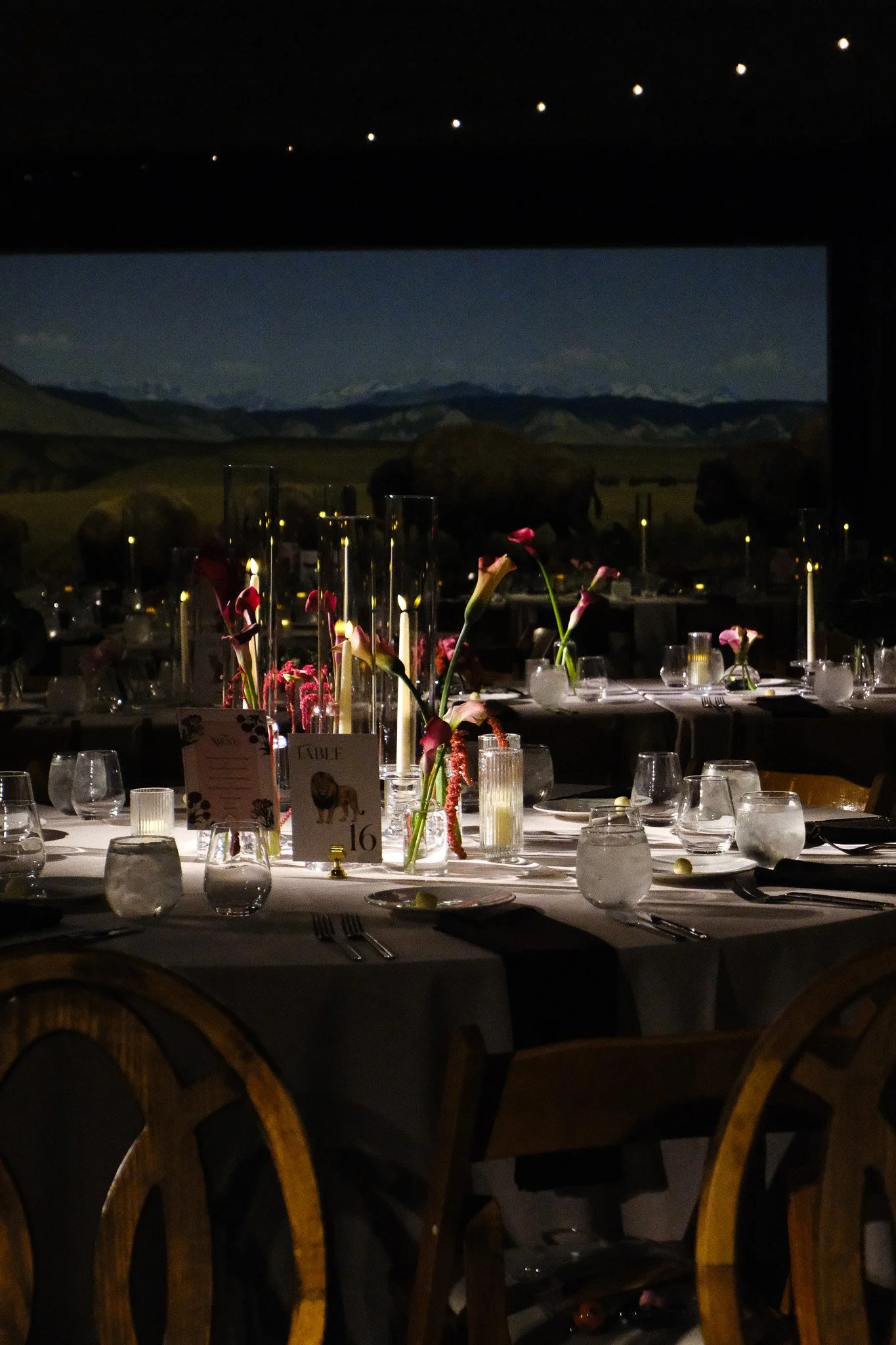 An Unforgettable 260 Person Wedding at the Natural History Museum