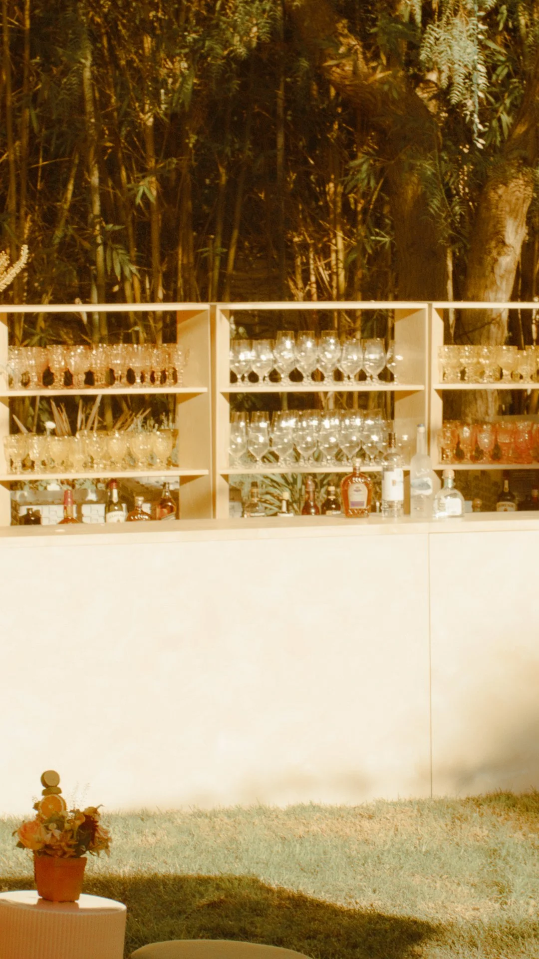 Outdoor bar with shelves of glassware and bottles, set against a background of trees and foliage at dusk.