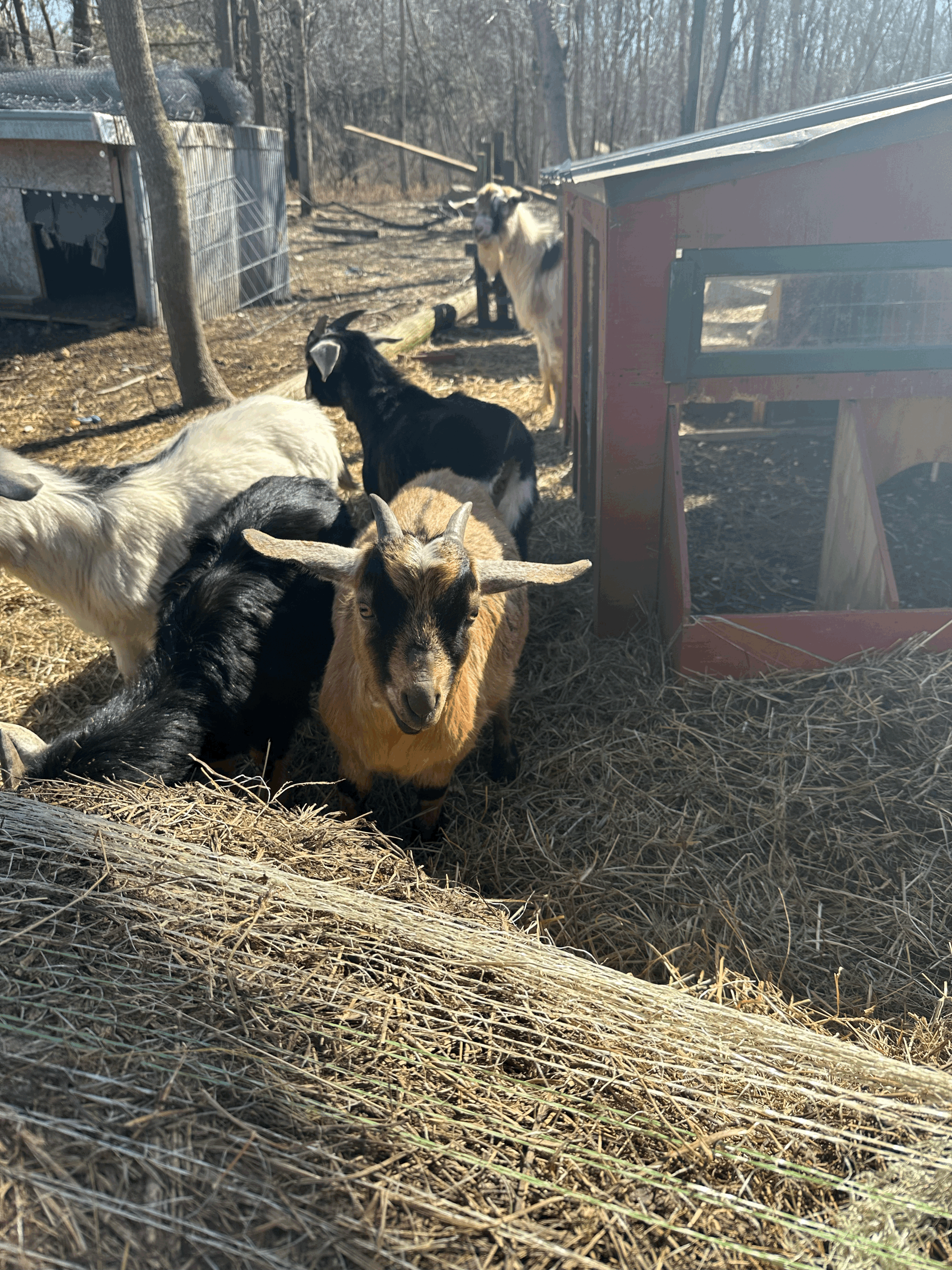 tempImagepc20i2.gif
