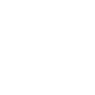 303