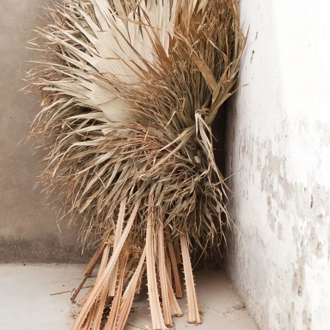 Tropical vibes all year round 🌴
#driedpalms #boho #bohostyle #beachinspo #beachfrontproperty #beach #driedflowers #palmbeach #plam #airbnbgoldcoast #airbnb #airbnbaustralia #goldcoast #goldcoastairbnb #aestheic #decor #design