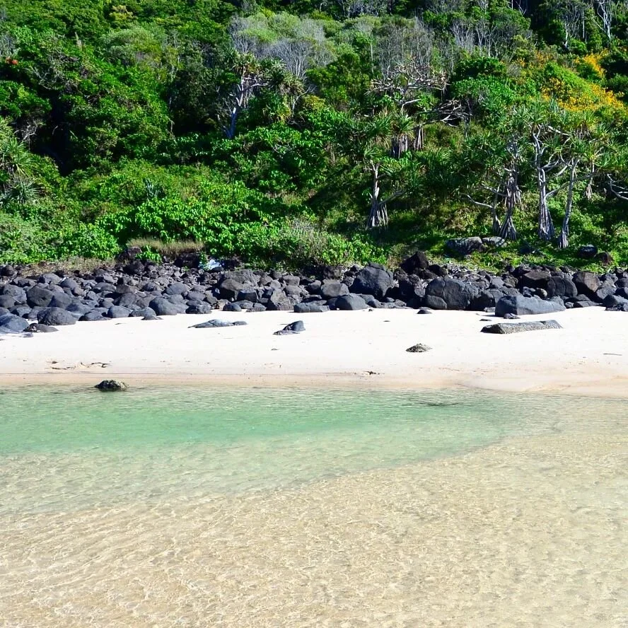 Picture perfect day 🌞
#tallebudgeracreek 
#visitqueensland 
#visitgoldcoast 
#goldcoast
#goldcoastairbnb
#palmbeach 
#holiday 
#holidayhome 
#getaway 
#australia