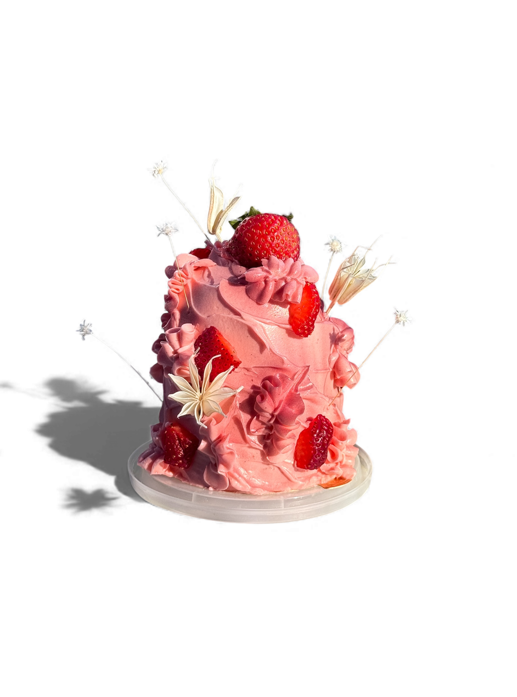 MINI STRAWBERRY DOME CAKE