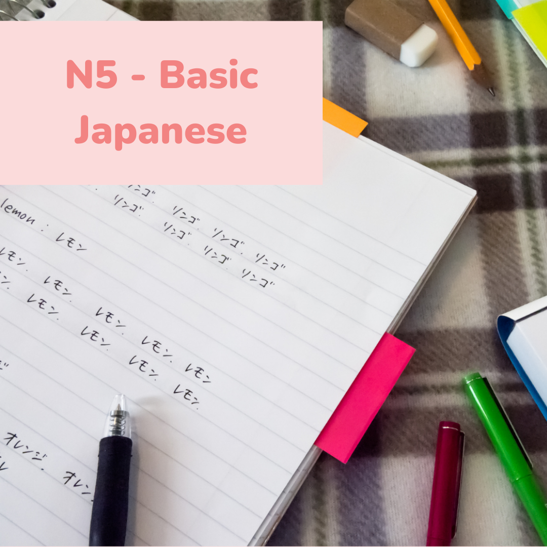 N5 Courses - Beginner