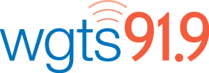 WGTS_logo_Horizontal-highquality-768x268-1.png