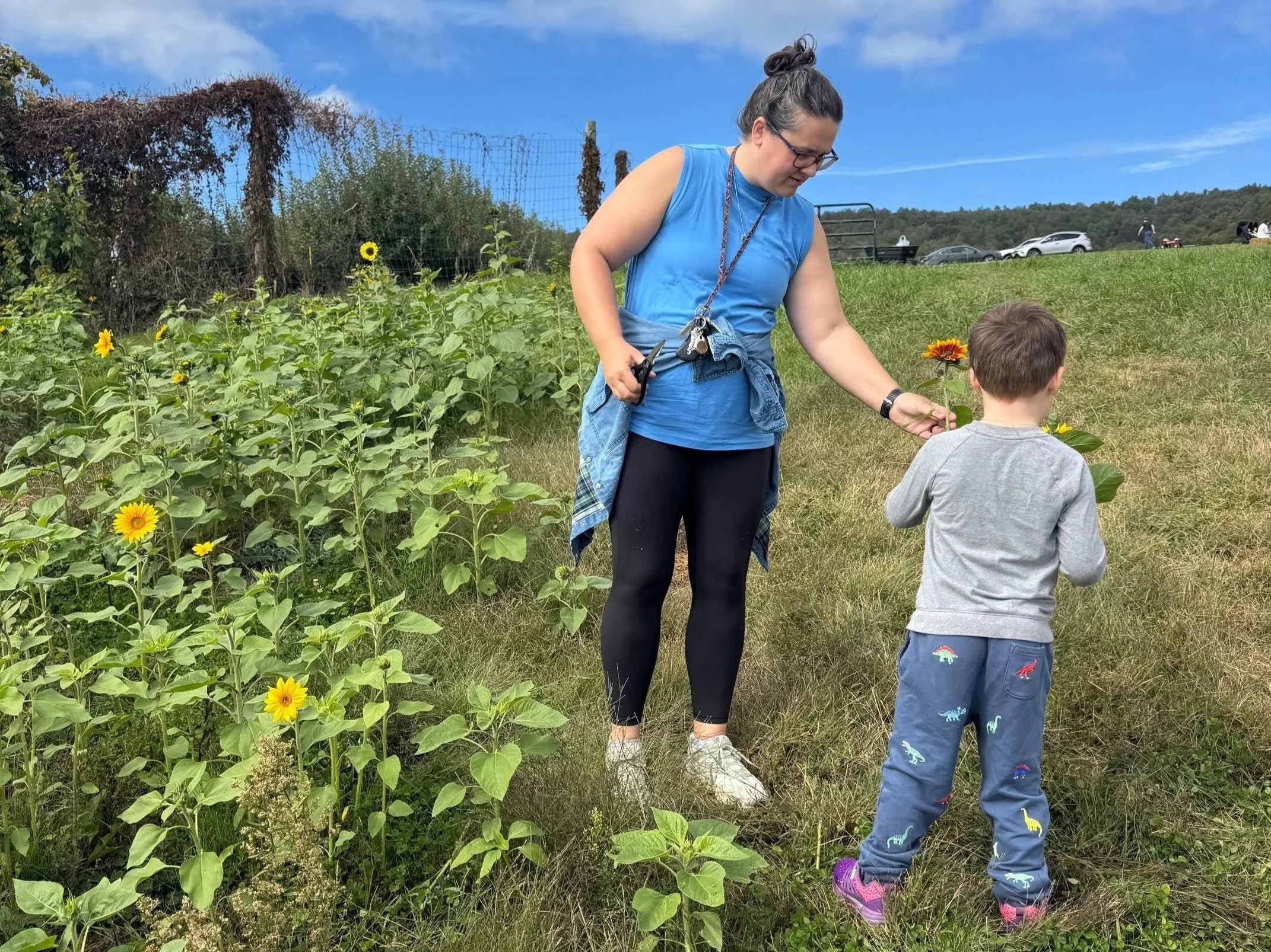 Stories of Healing: Teresa