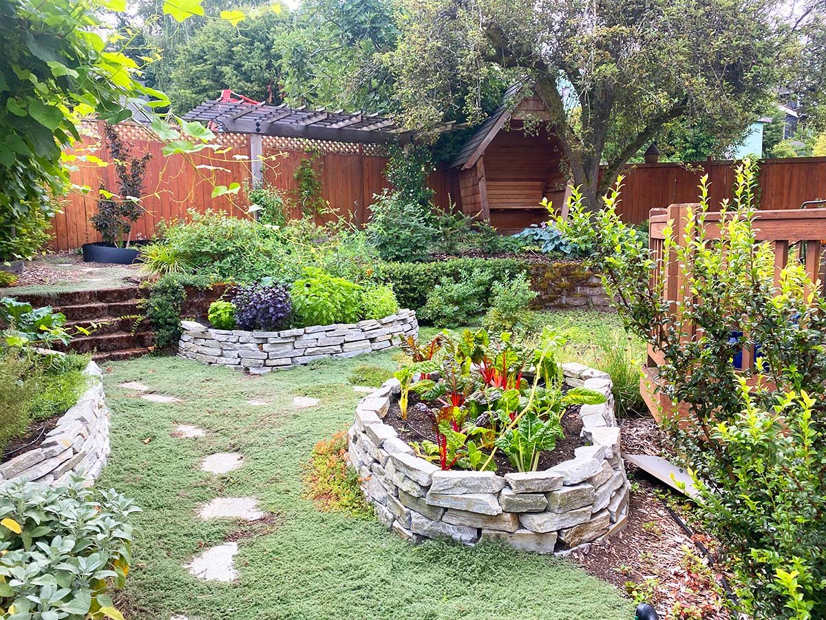Vegetable Garden 4.jpg