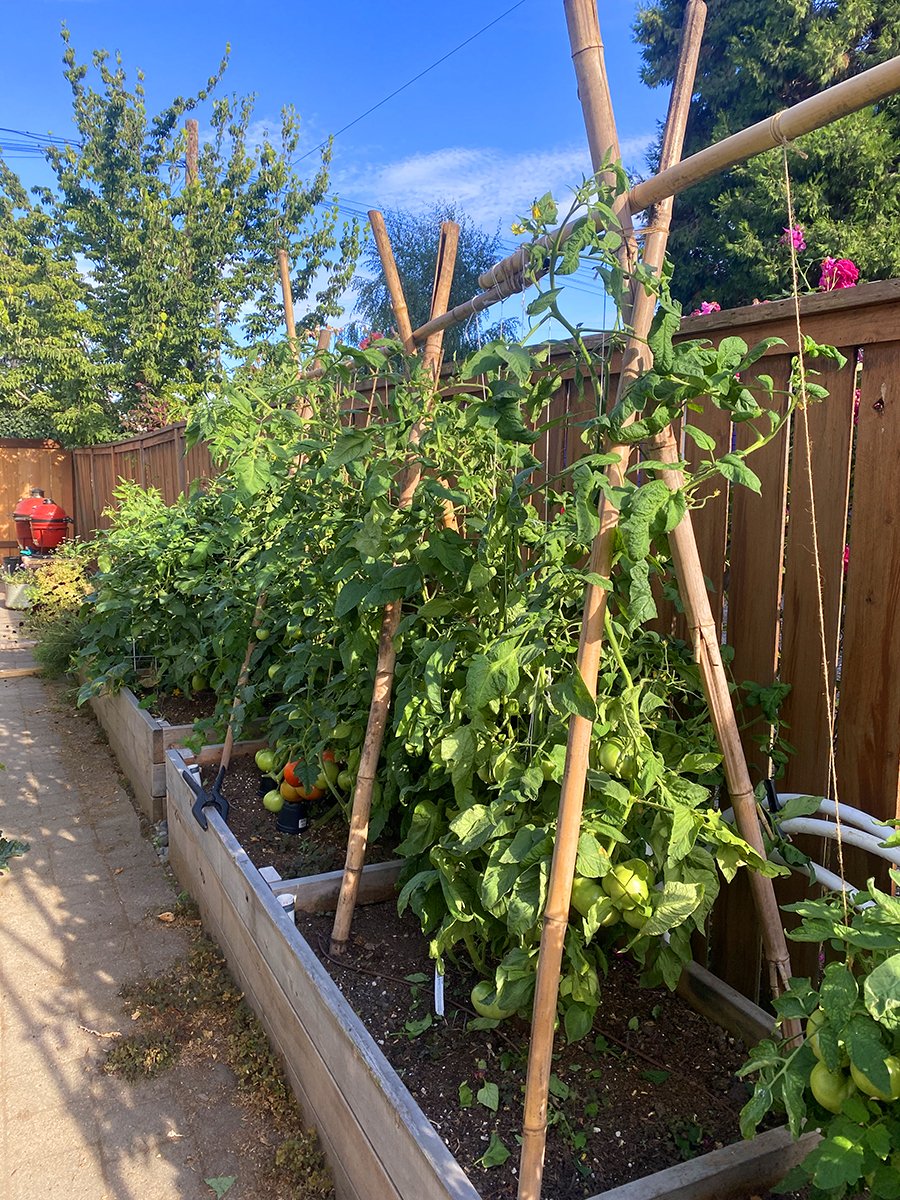VegBeds.jpg