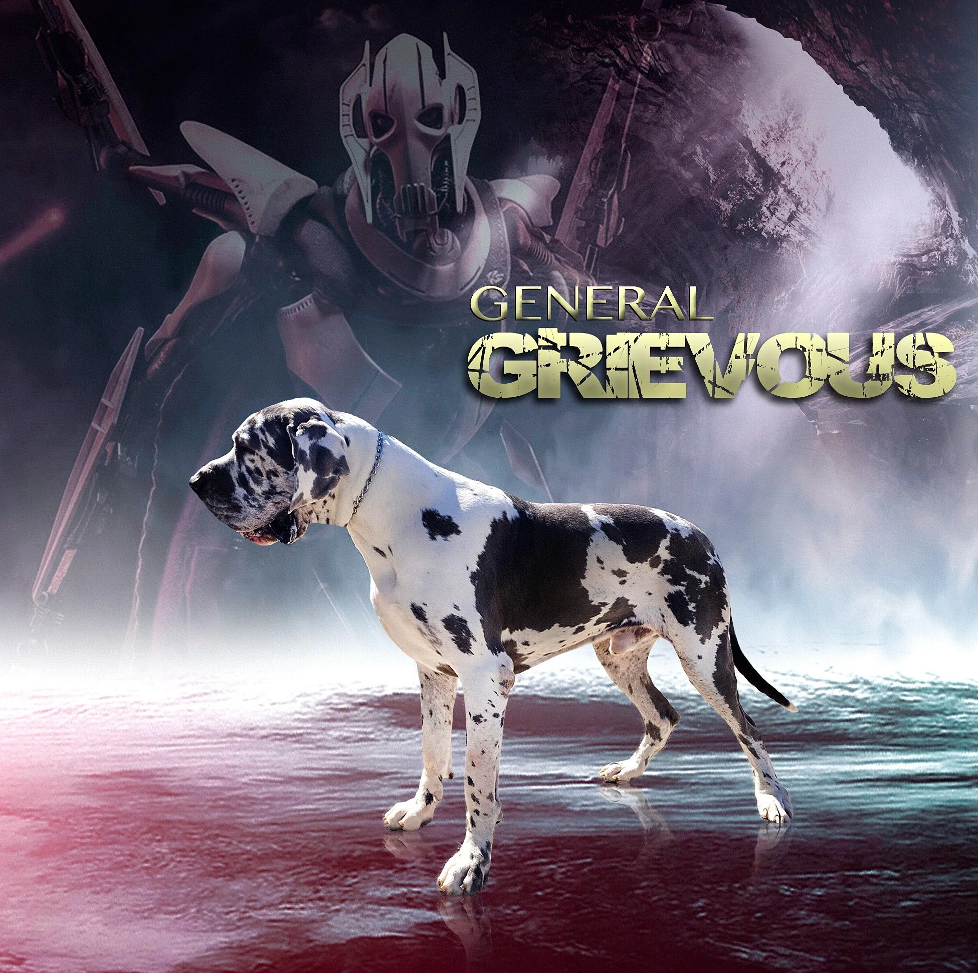 Grievous_card_034(1).jpg