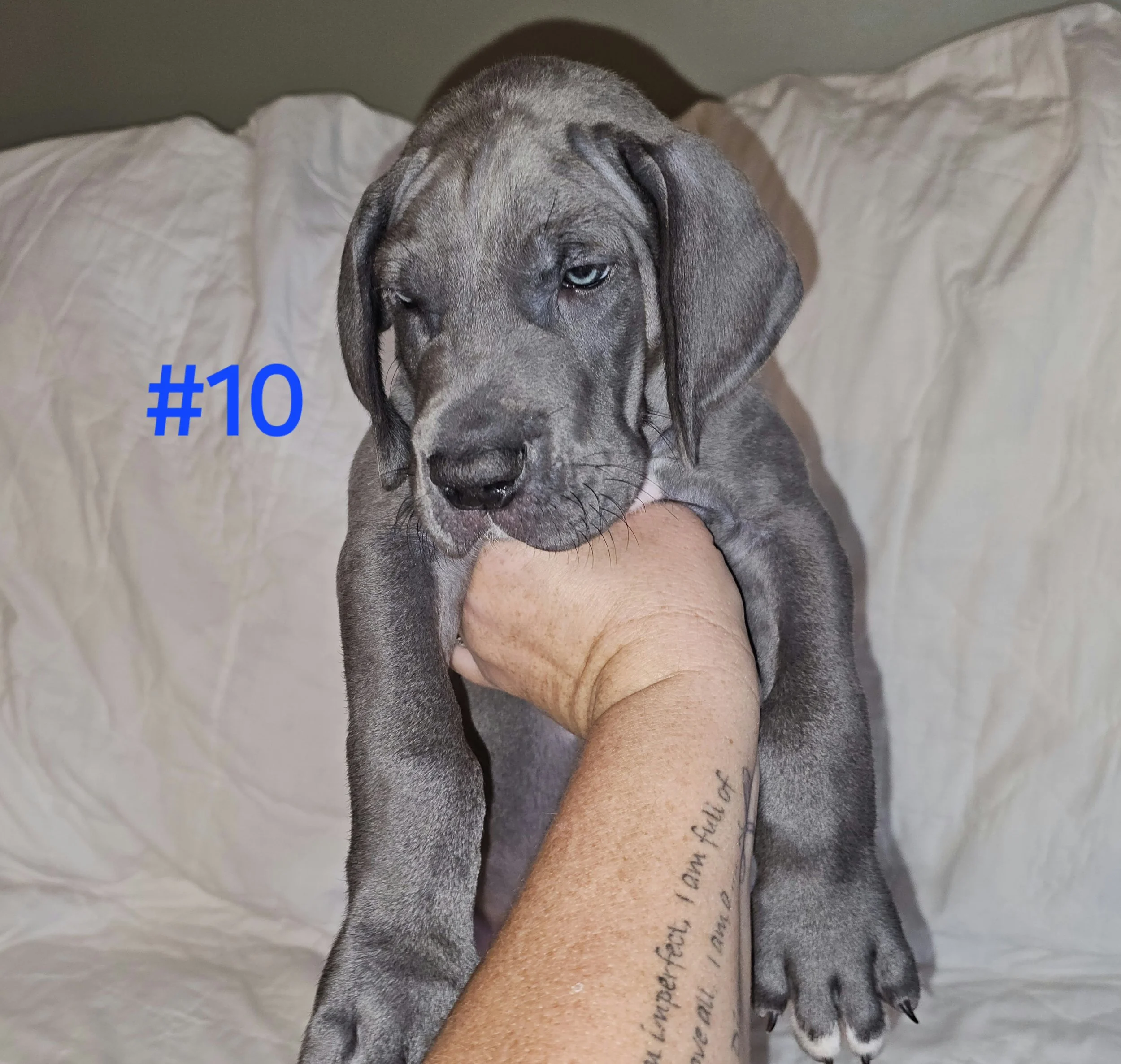1000092255.jpg