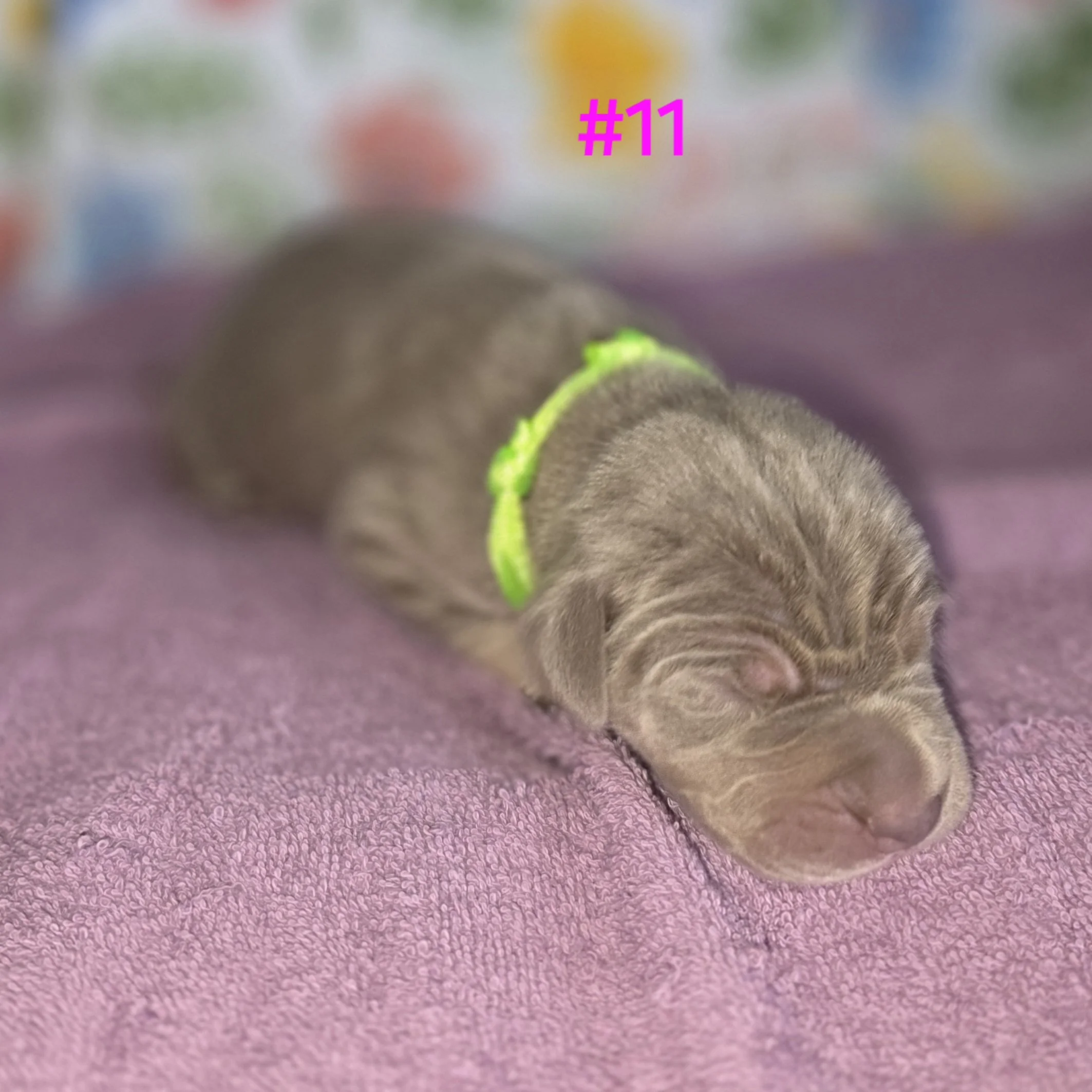 20251212_114355.jpg