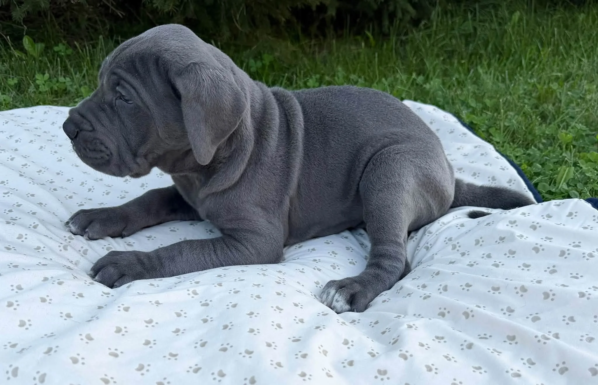 blue1.jpg