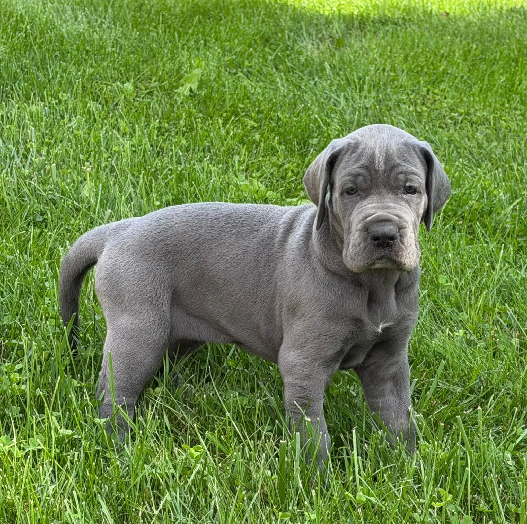 blue3.jpg