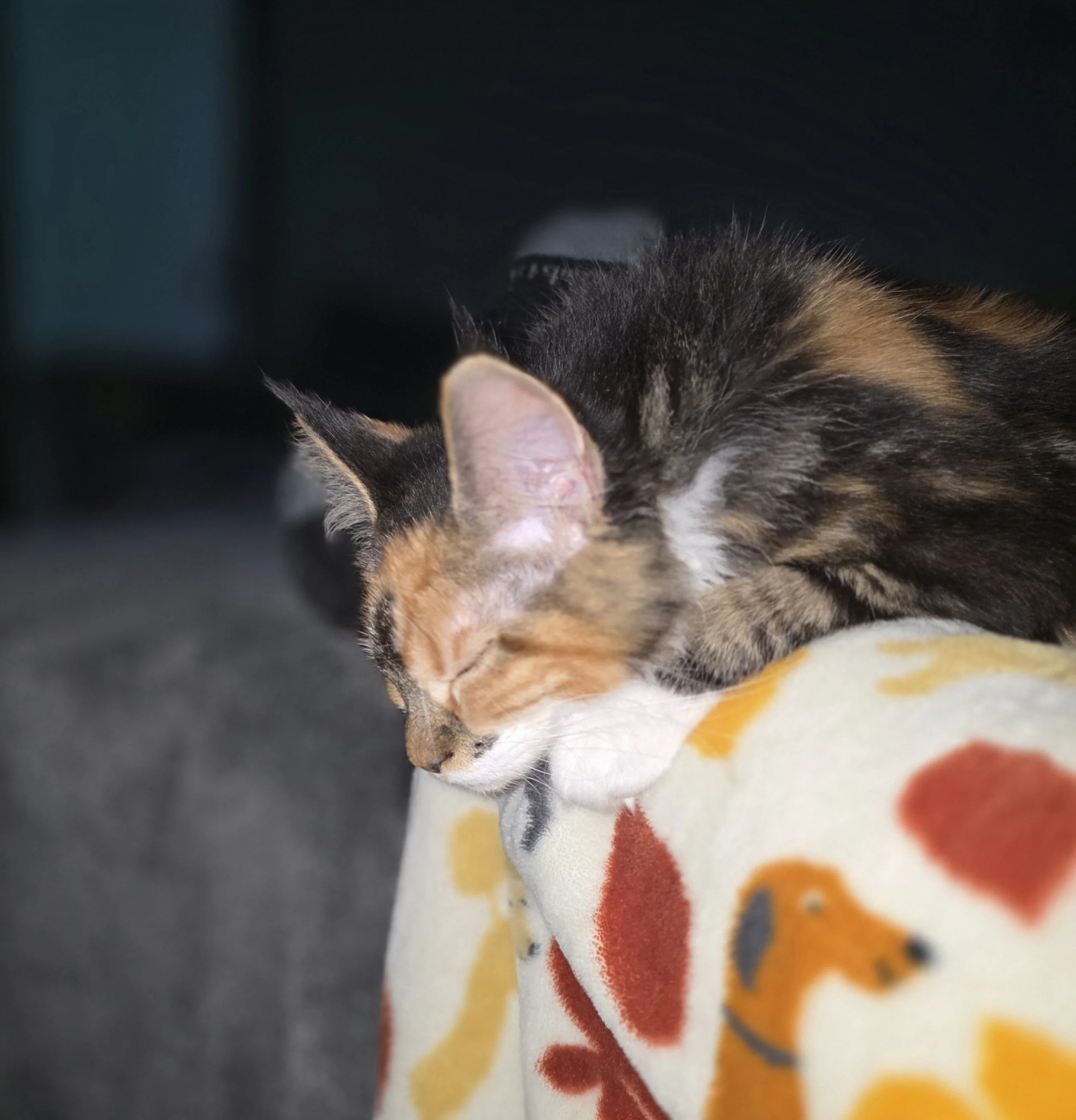 20260408_220552.jpg