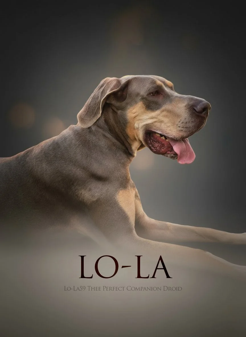 LOLA Portrait.jpg