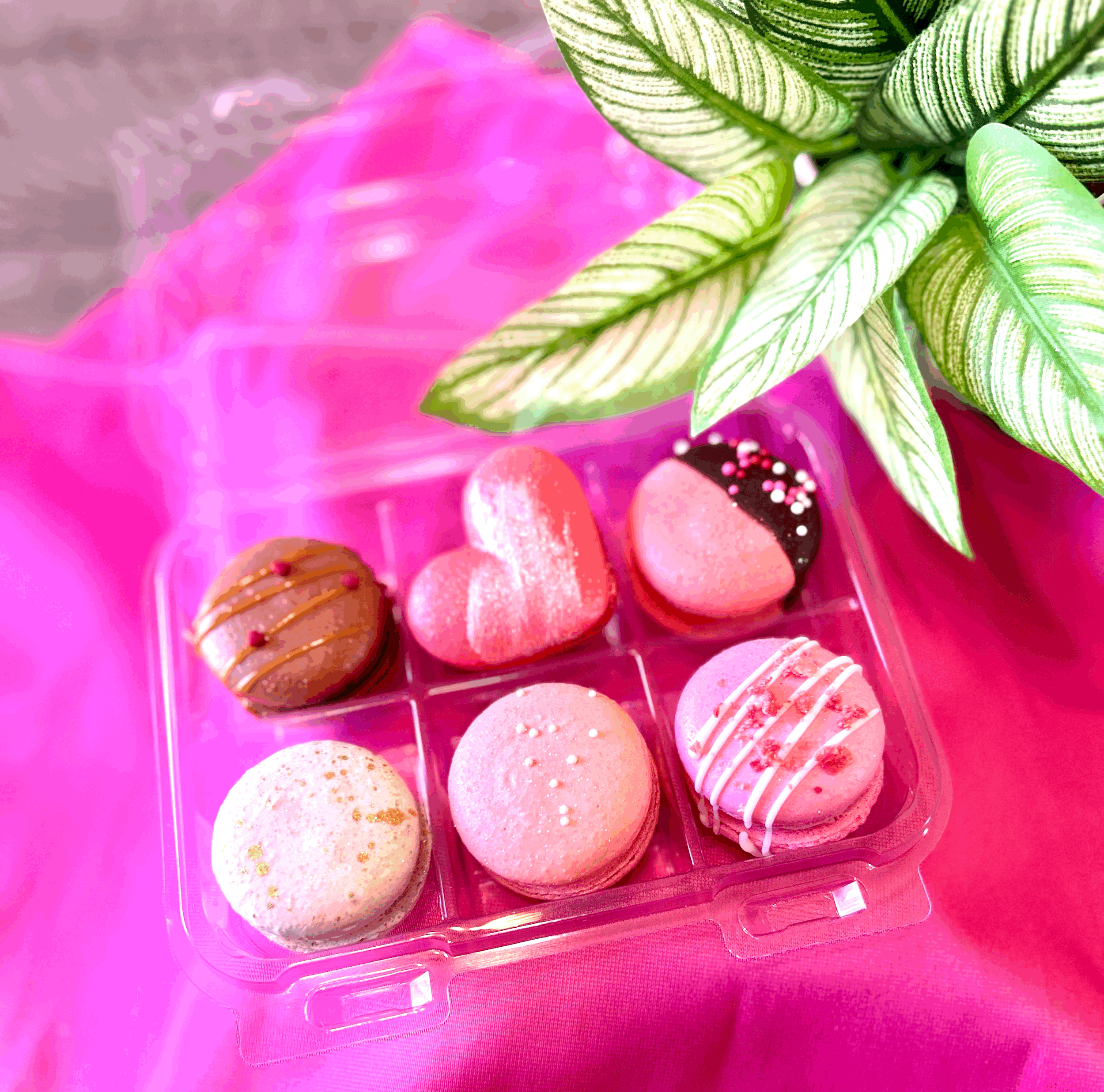 Valentines Day half dozen