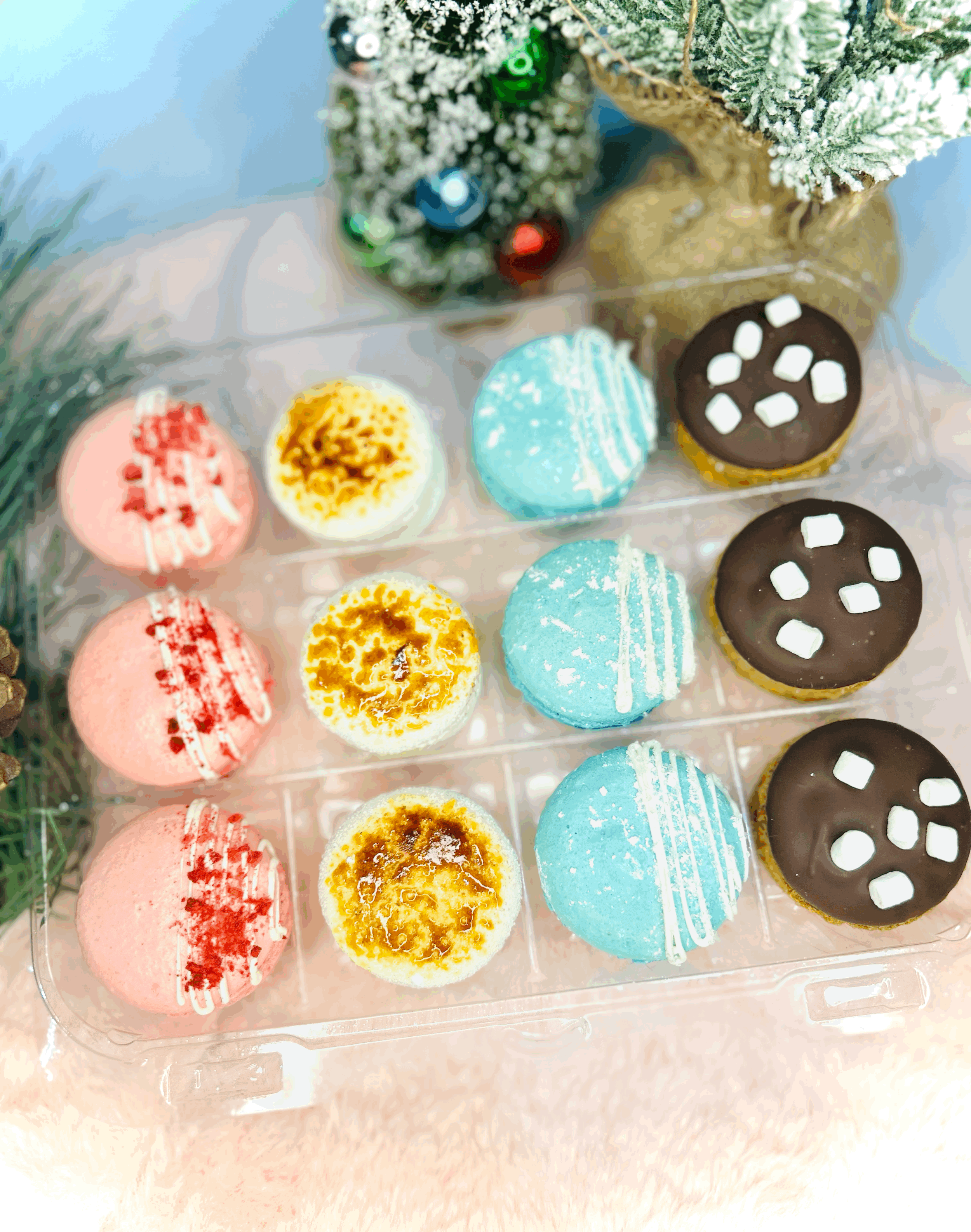 Dozen macarons