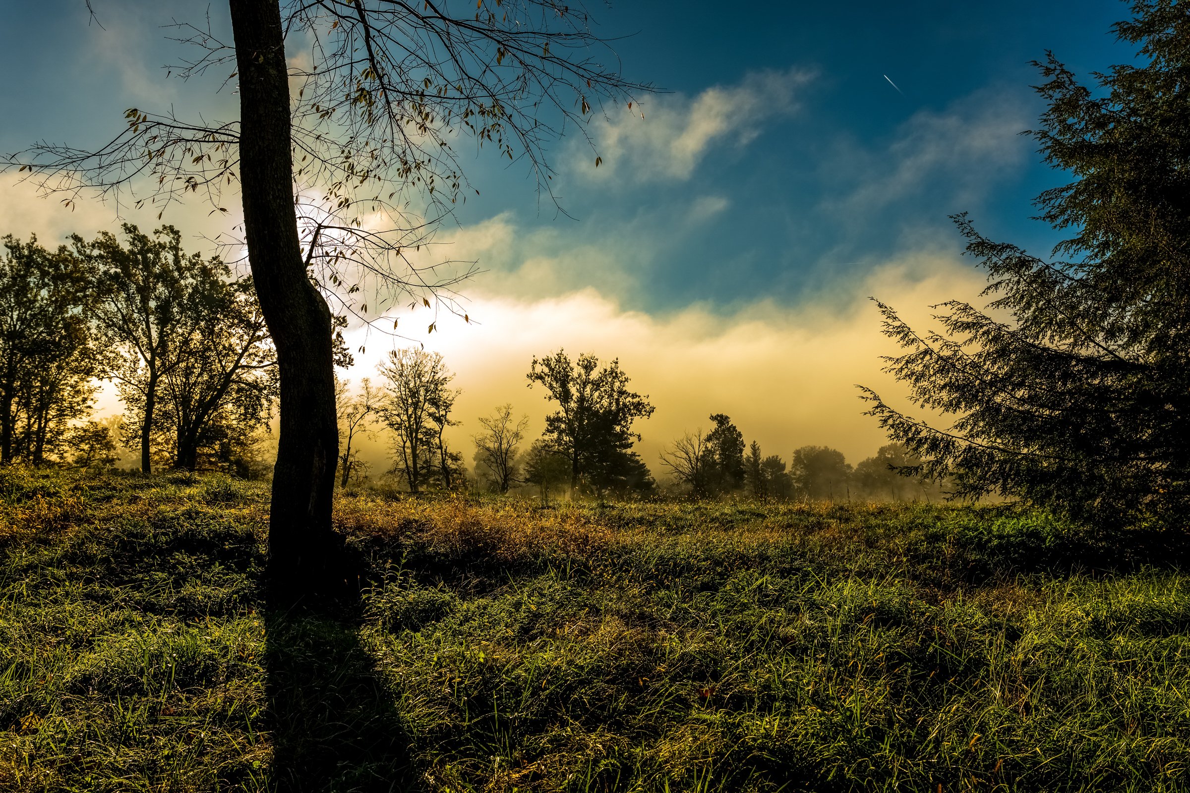Sunrise on Old White