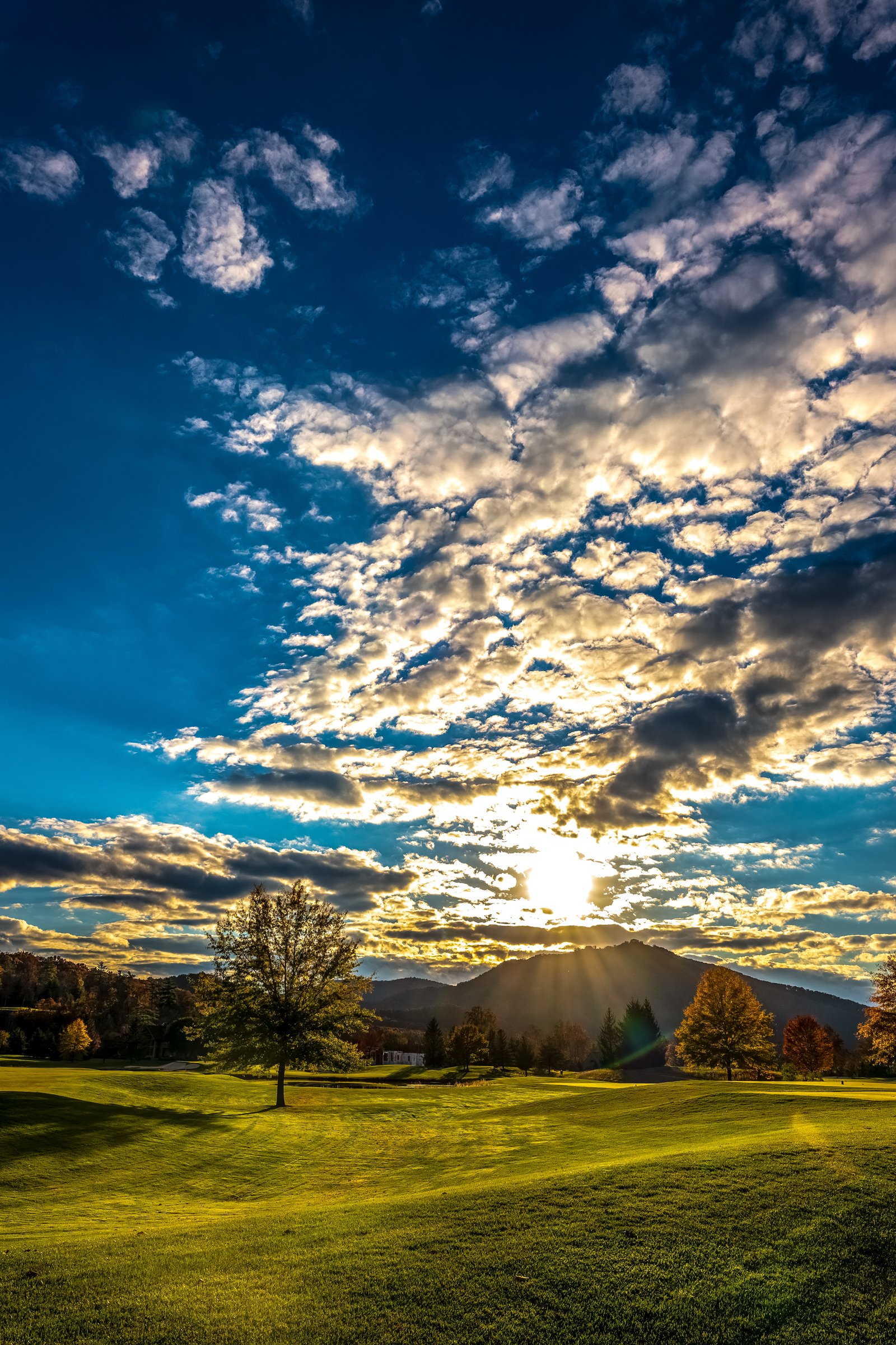 Golden Clouds