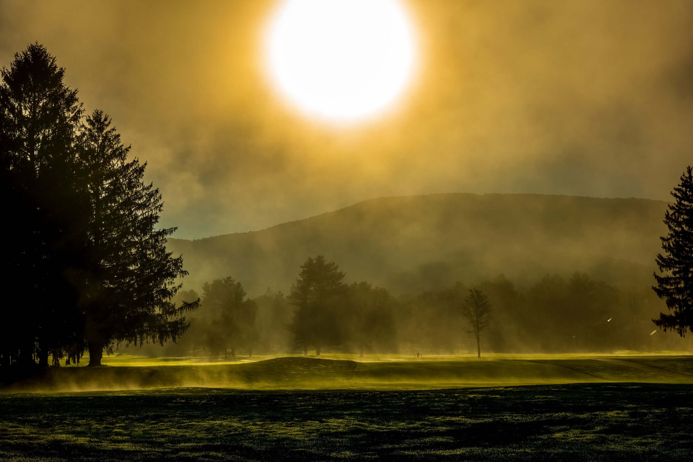 Smoke on Meadows