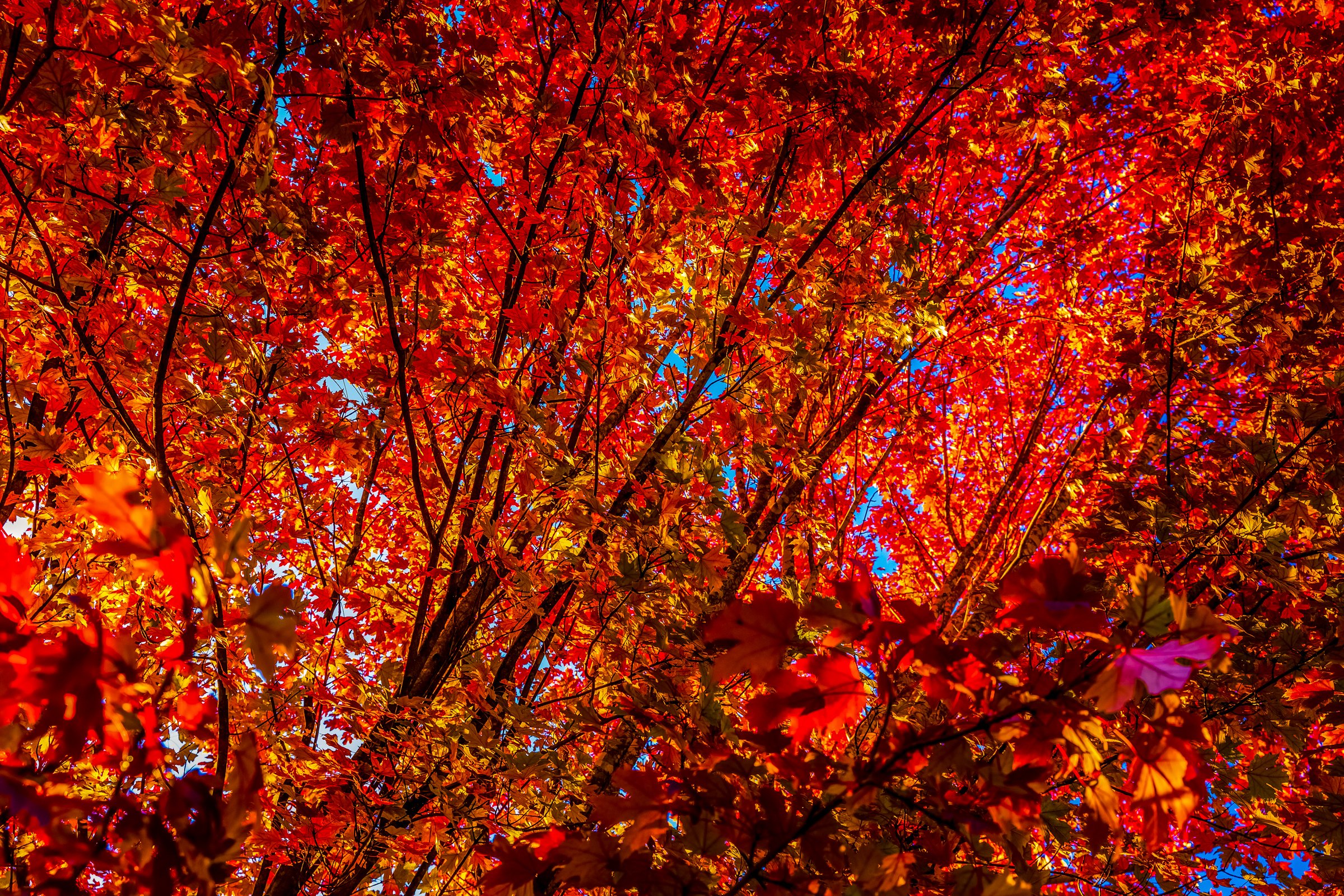 October