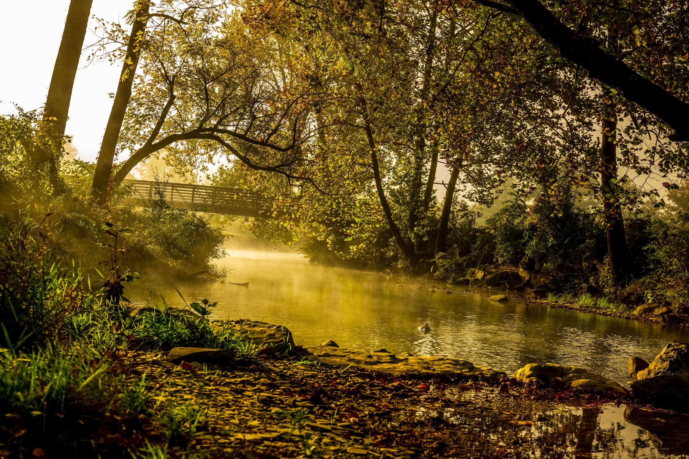 Misty Creek