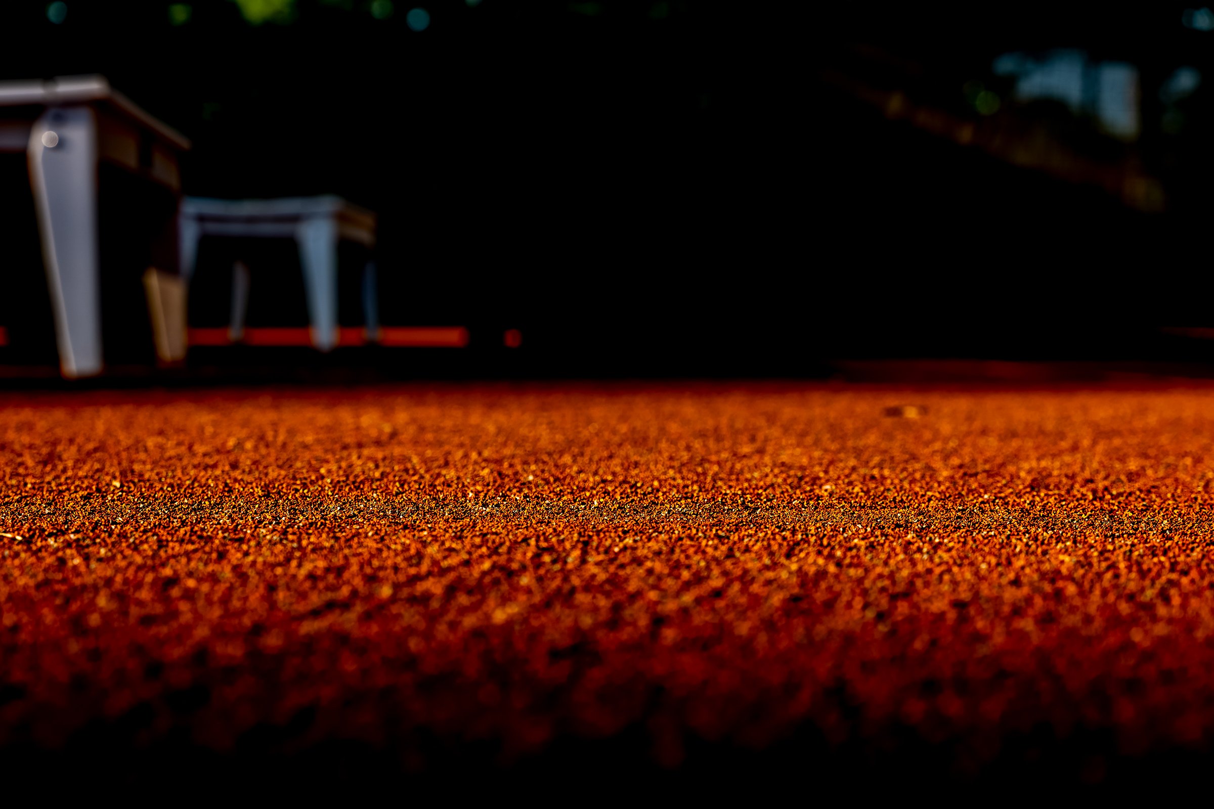 L1020546.jpg