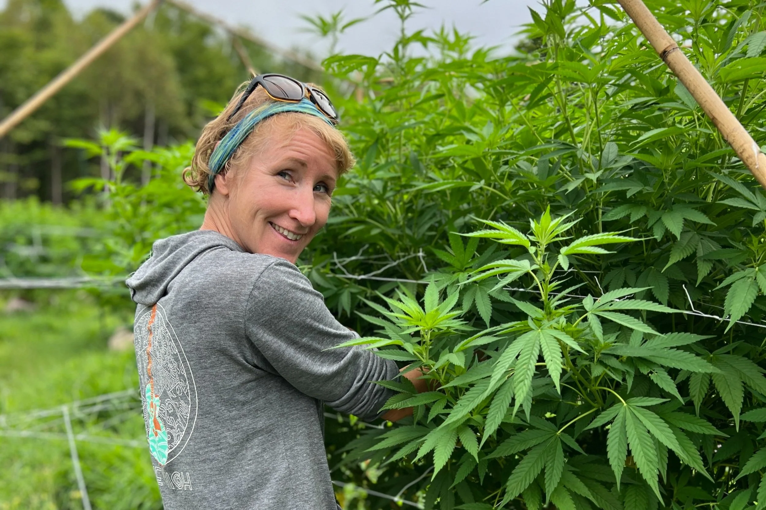 Cannabisfarmerin auf Reisen