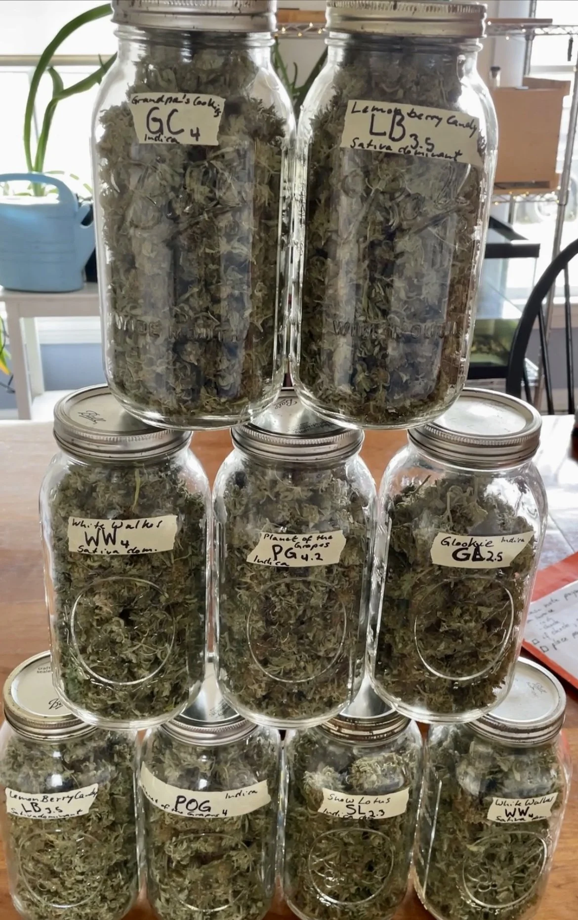 Cannabis Social Clubs ab dem 1. Juli? 