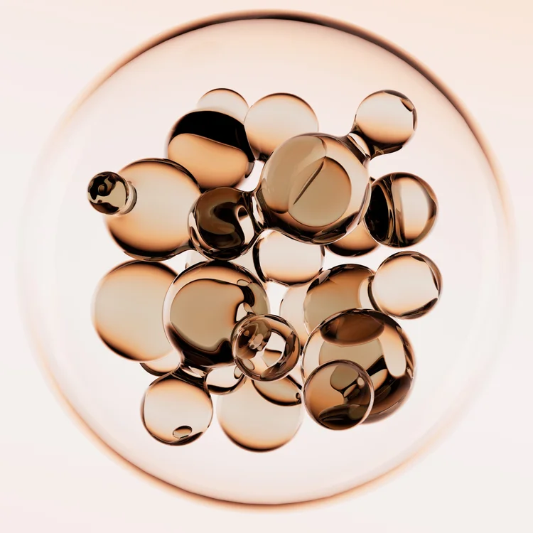 AdobeStock_1568064392.jpeg
