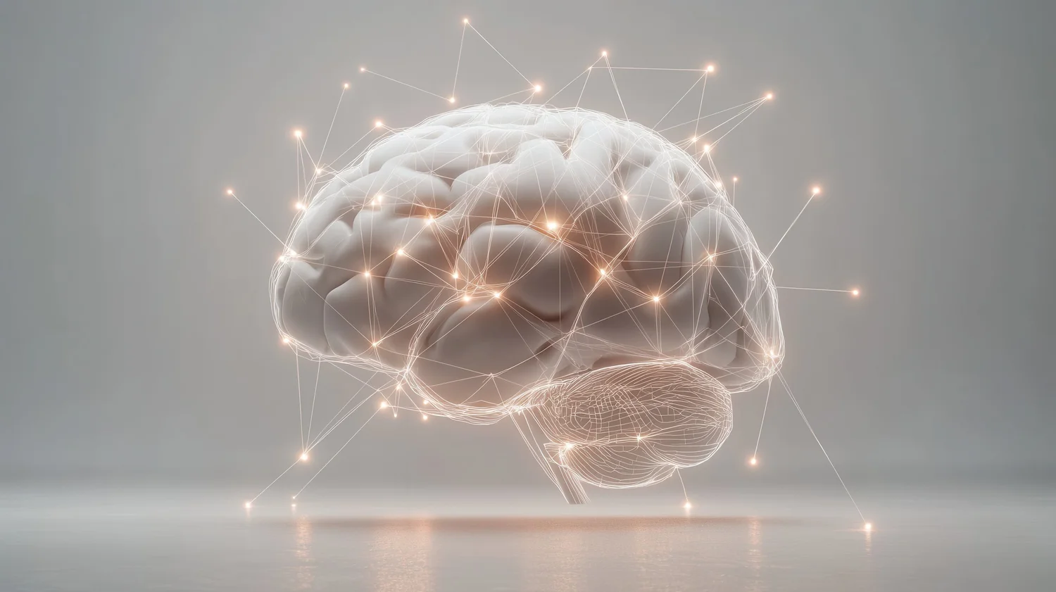 Integrative Mental Health of the Midwest